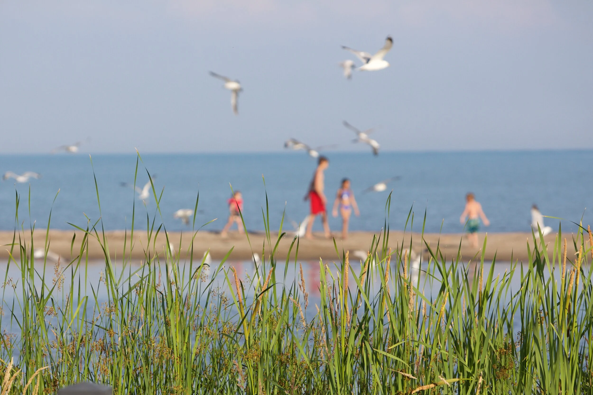 _MG_0906 - Version 3.jpg