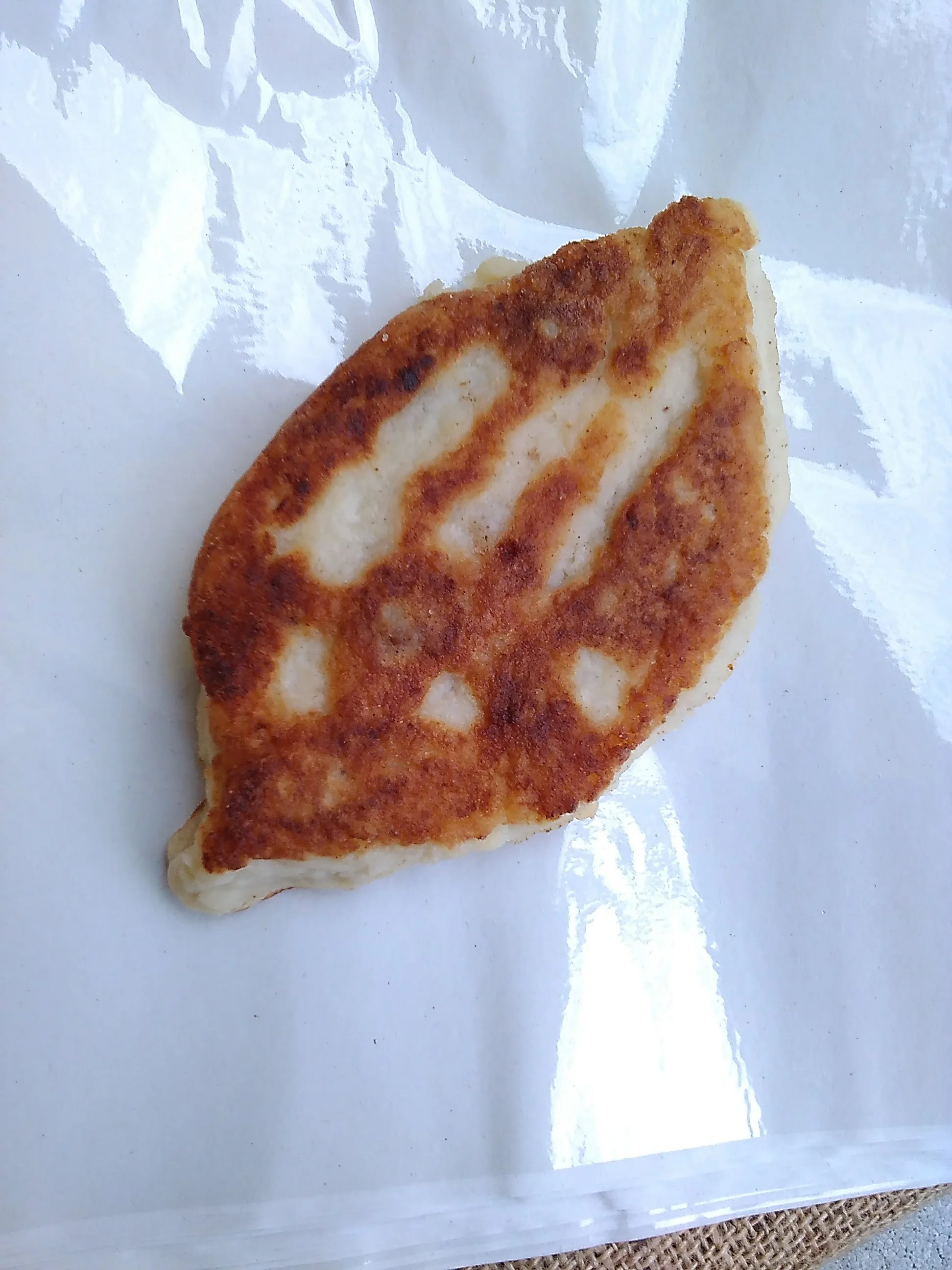 beef_potato_cake_russian_pies_2.jpg