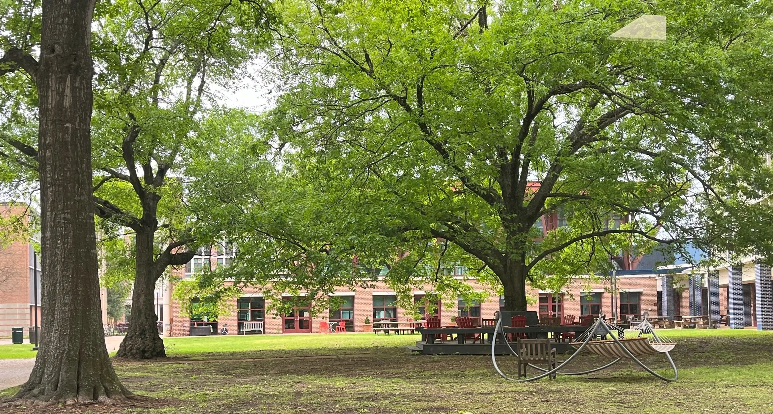 The Quad