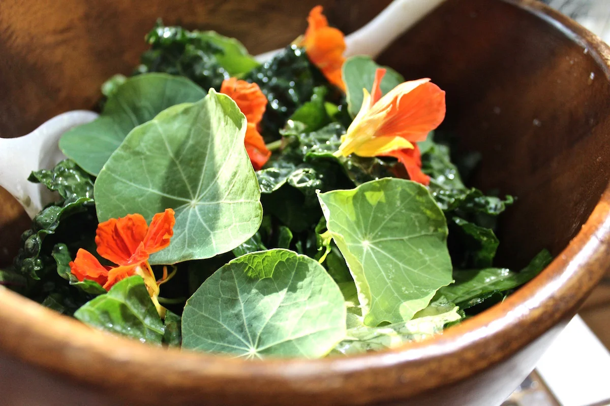 Gourmet_Local_Salad.jpg