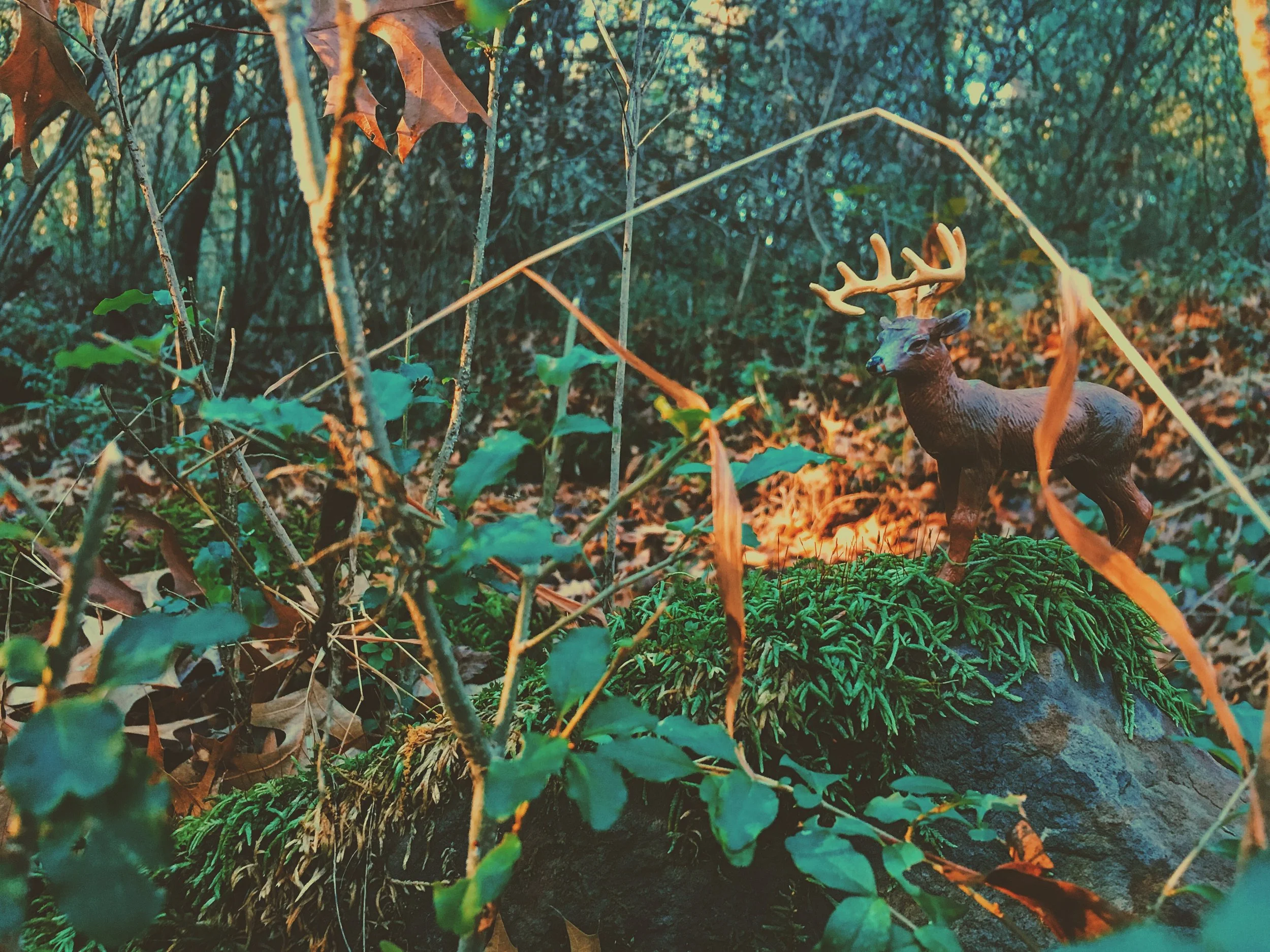 2016-11-28_16-00-36_347 (1).jpeg