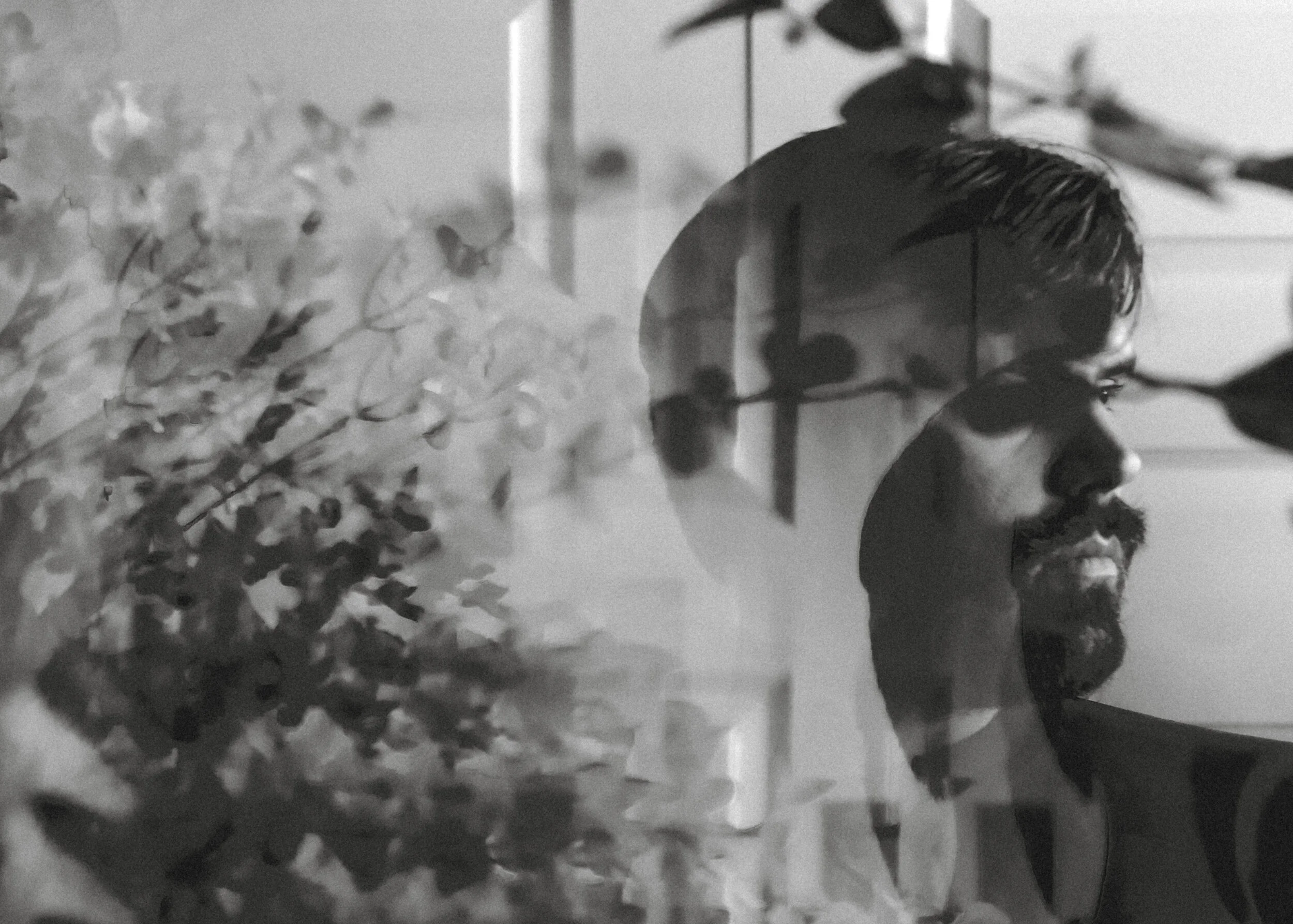 False Flowers 38 (1 of 1).jpg