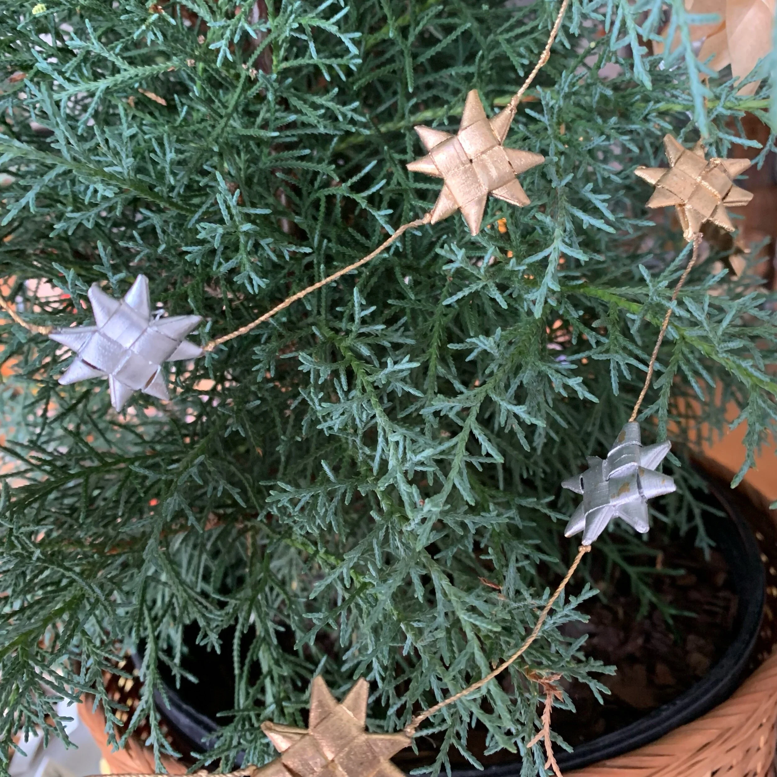 12D78610-F861-4E0C-8361-078D963DEAC7