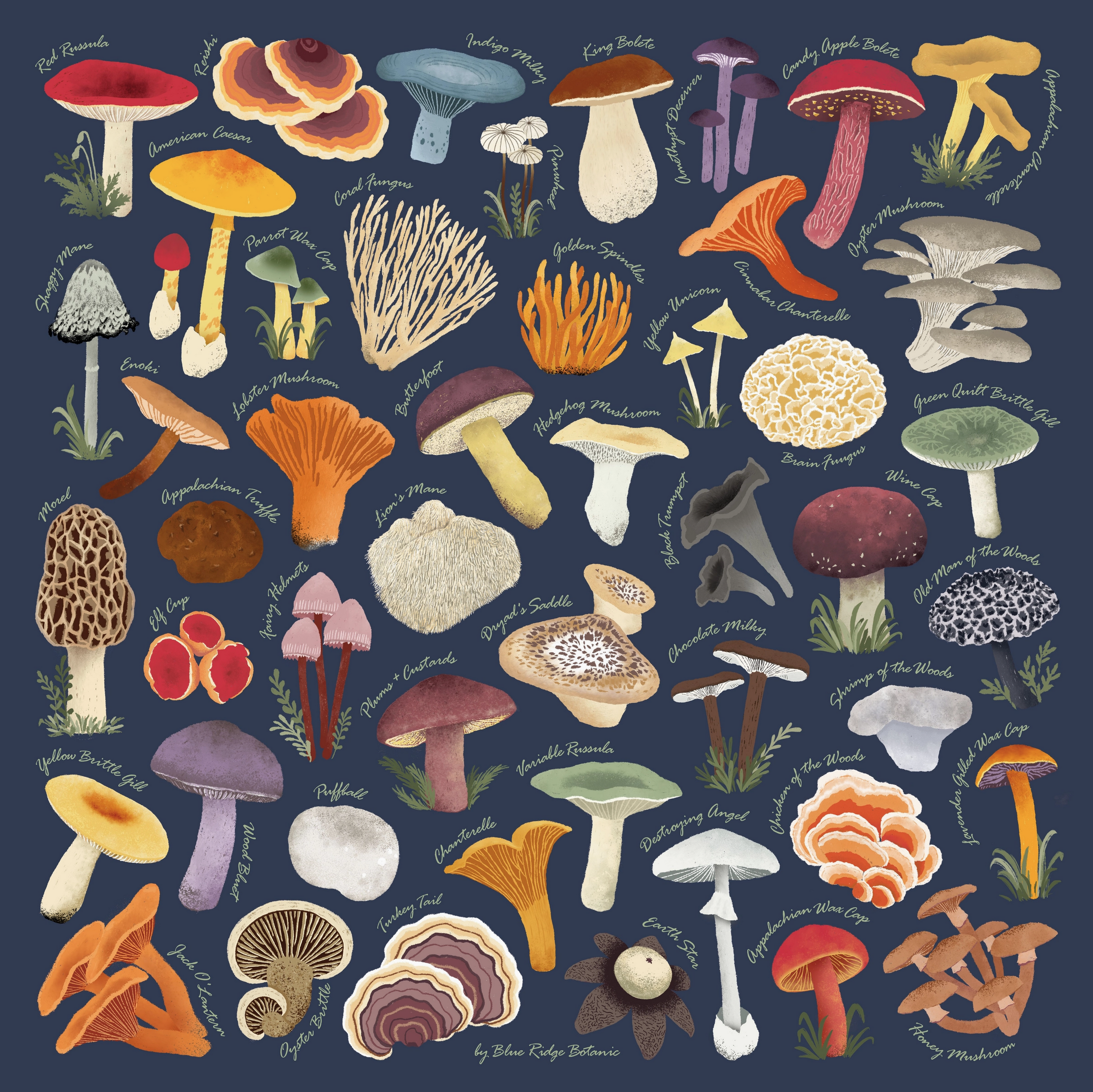 Screenshot 2026-03-28 at 8.19.24 PM.png