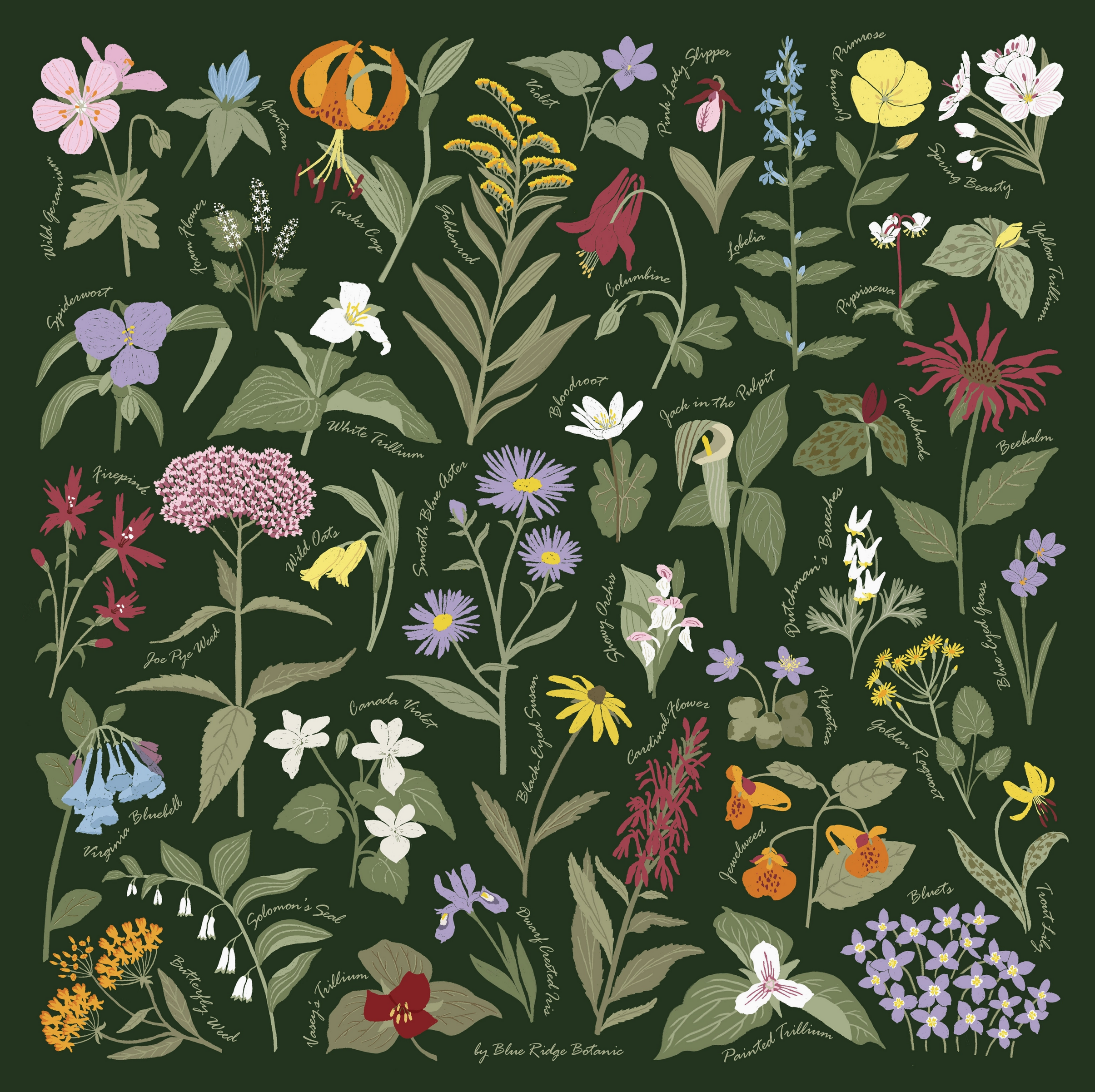 Screenshot 2026-03-28 at 7.08.21 PM.png