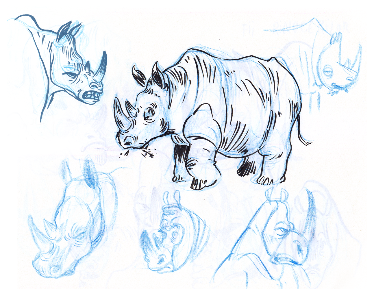 rino-02.png