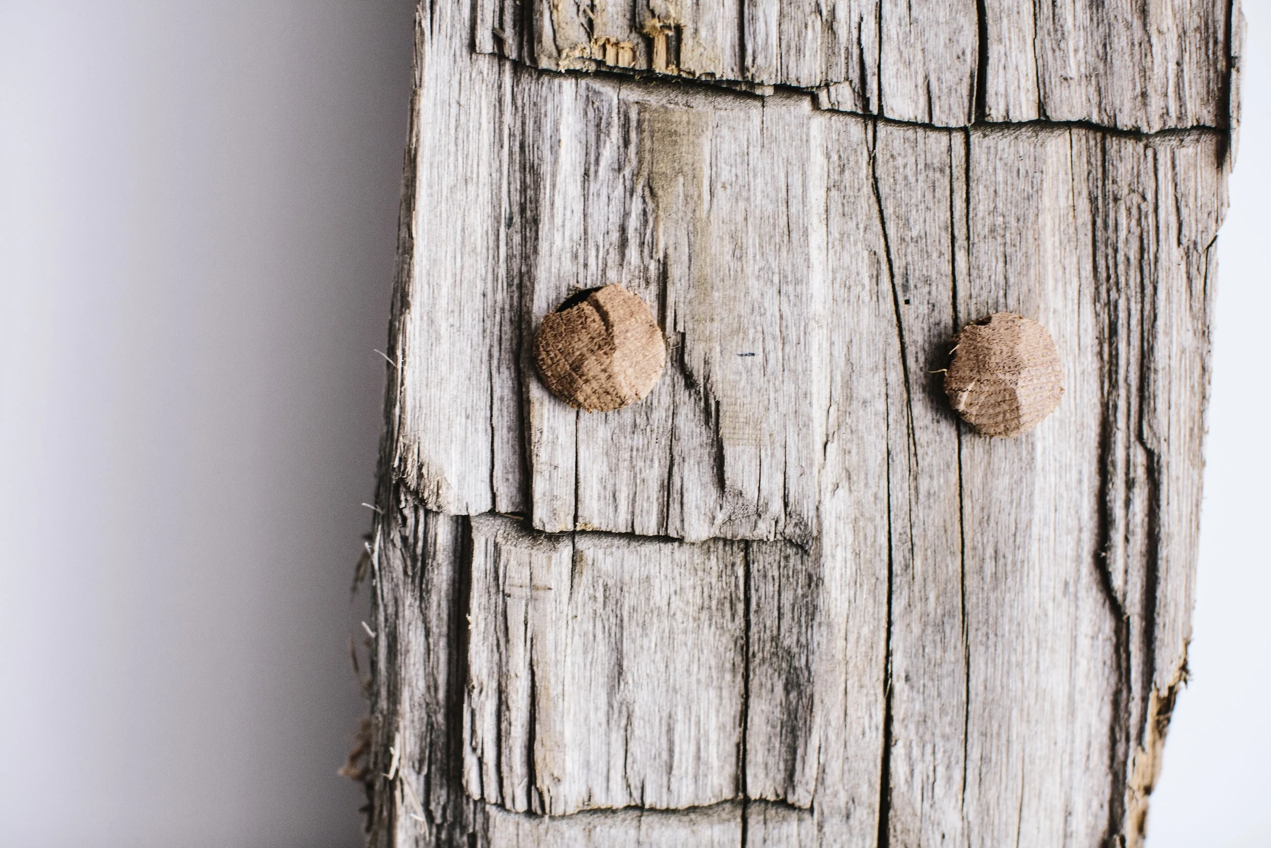 Timberworks Coverpage.JPG