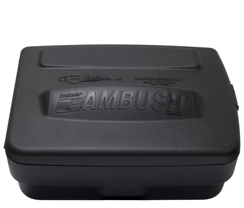 ambush.jpg
