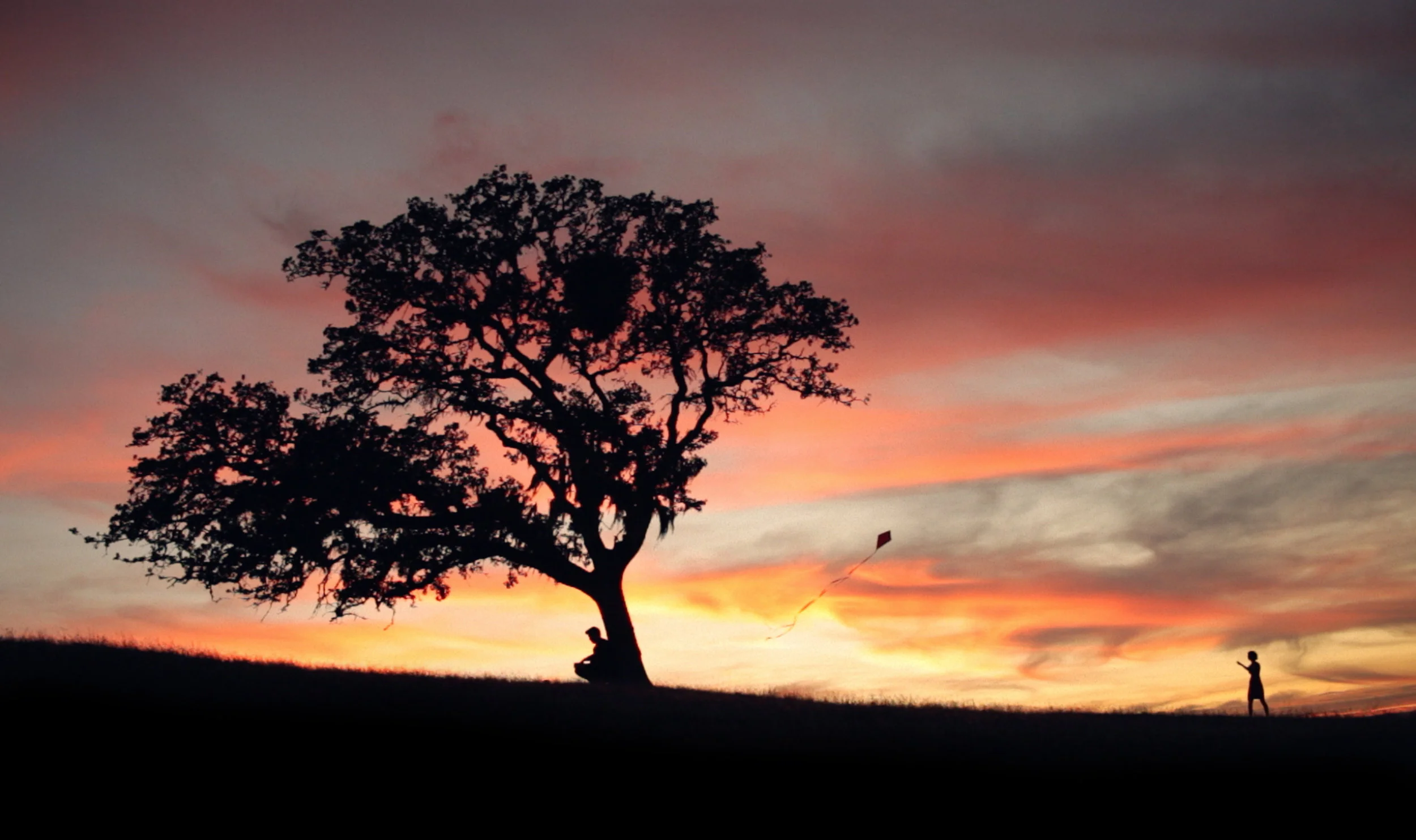 The Magic Hours_Kite Screengrab Color Corrected.jpg