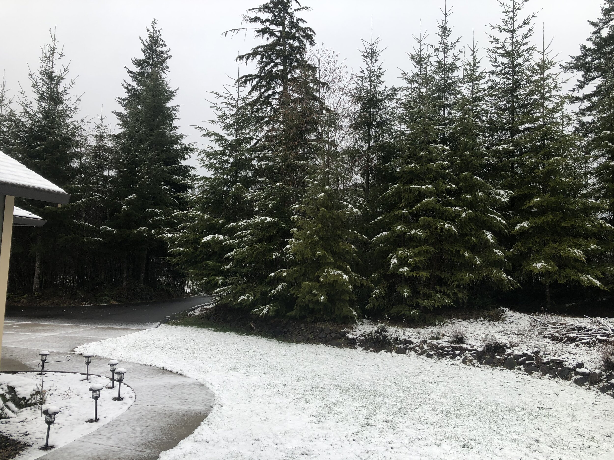 Light Snow in Aims, and a Blizzard in Newberg!
