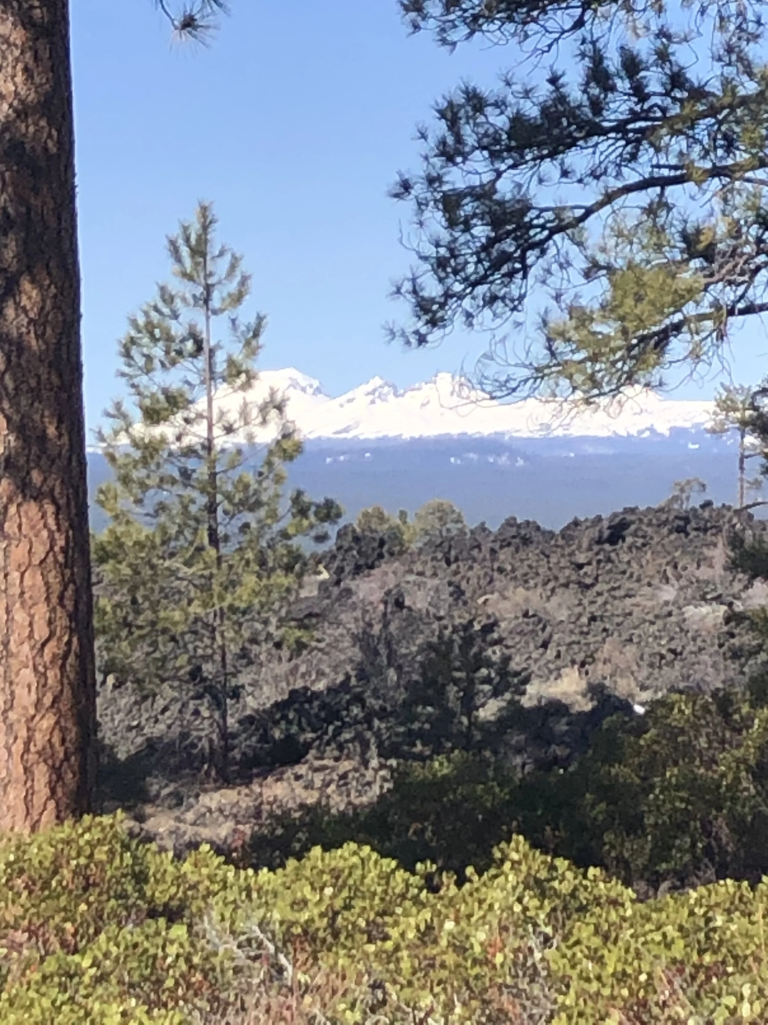 Thank God for the Sunshine!