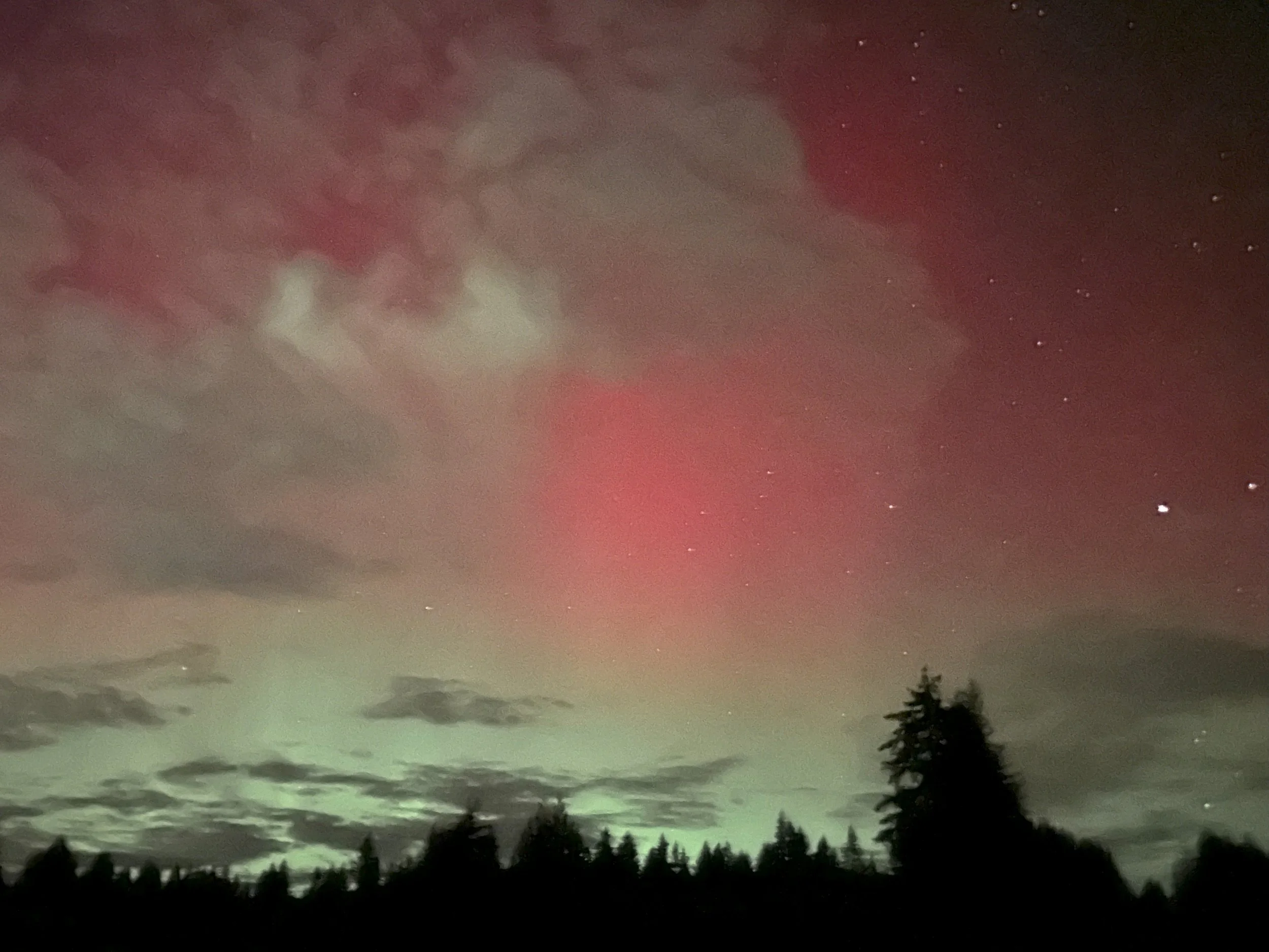 No "Artificial Intelligence" in Heaven!