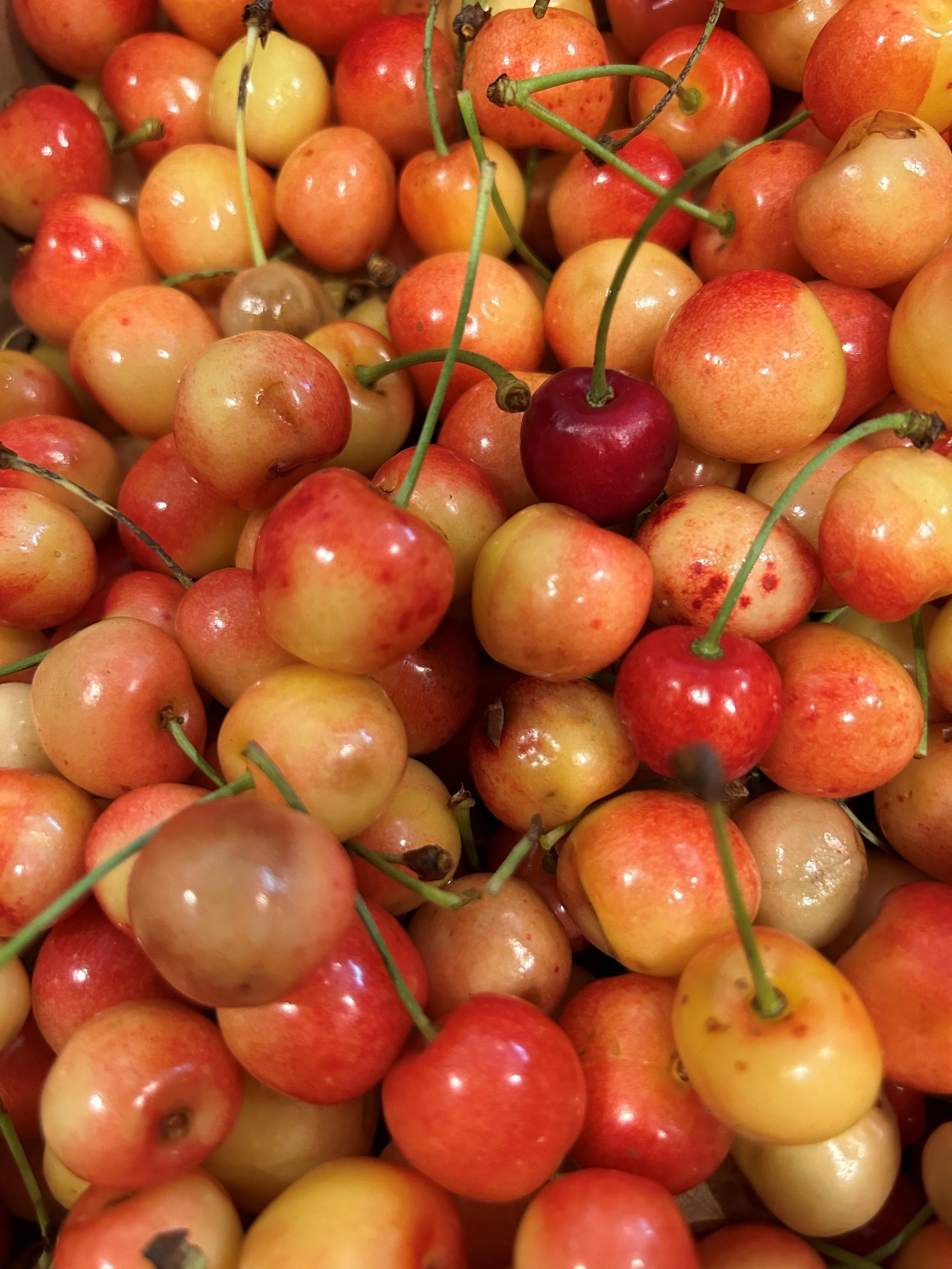 A Productive Harvest is on the way!
