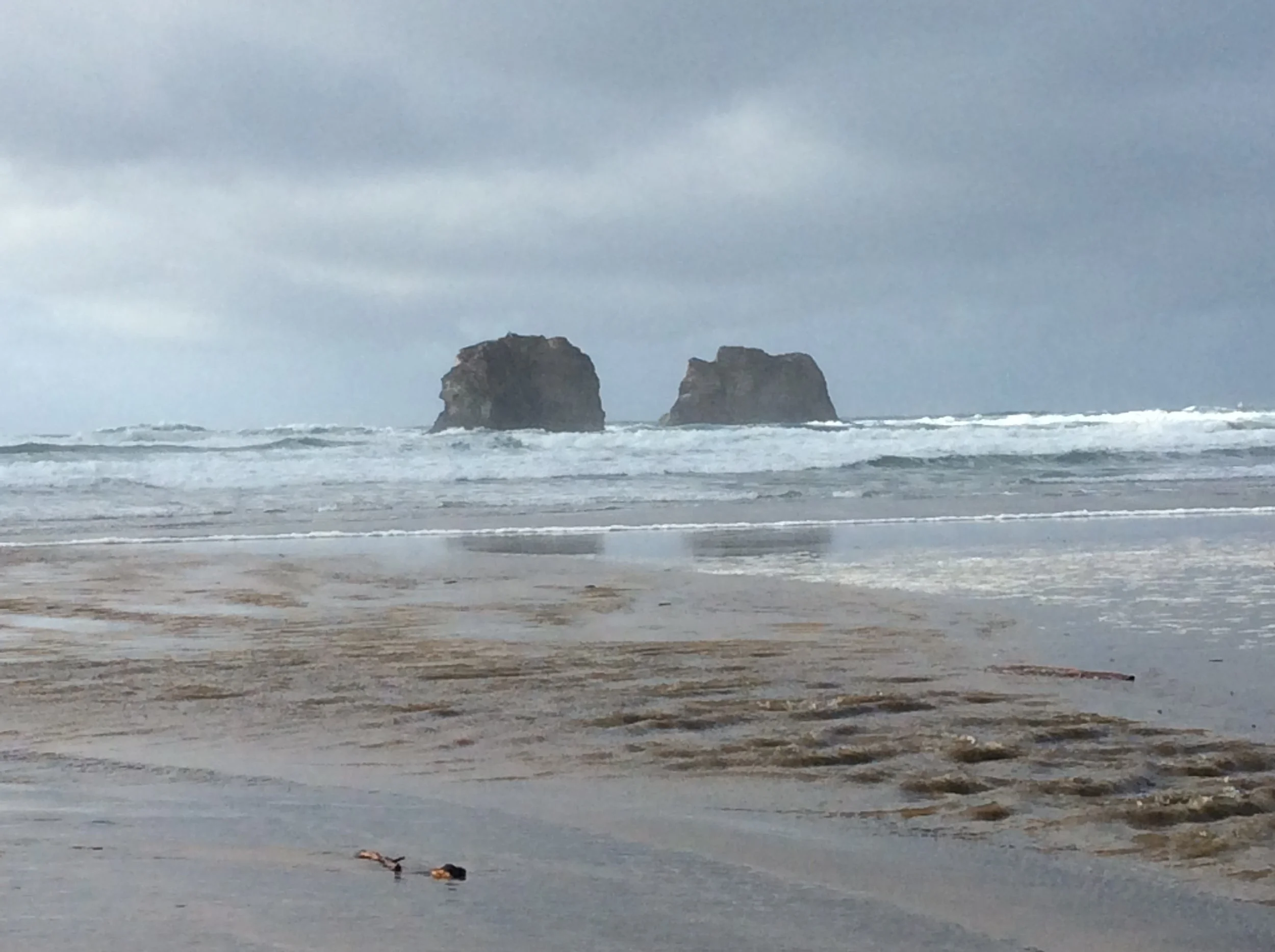 Celebrating the Joy of Knowing "the Word Became Flesh"