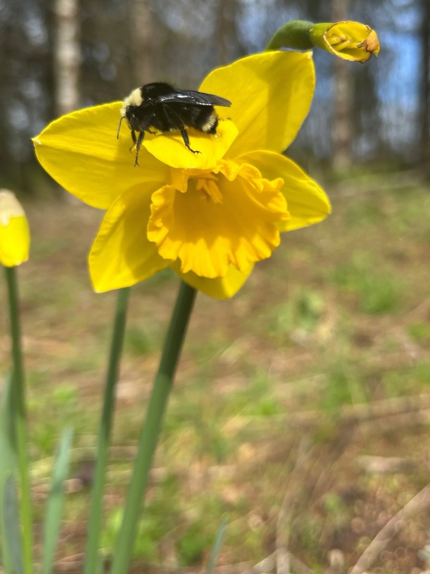 A Season to Celebrate