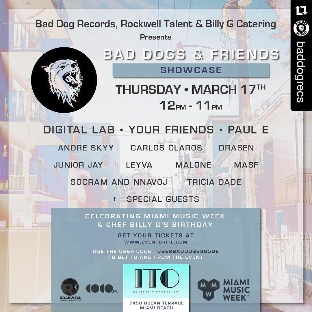 3-17-16 - MMW - BAD DOGS SHOWCASE AT ITO.jpg