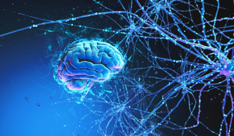 neural-networks-human-brain-3d-neurons-deep-brain-shut.jpg