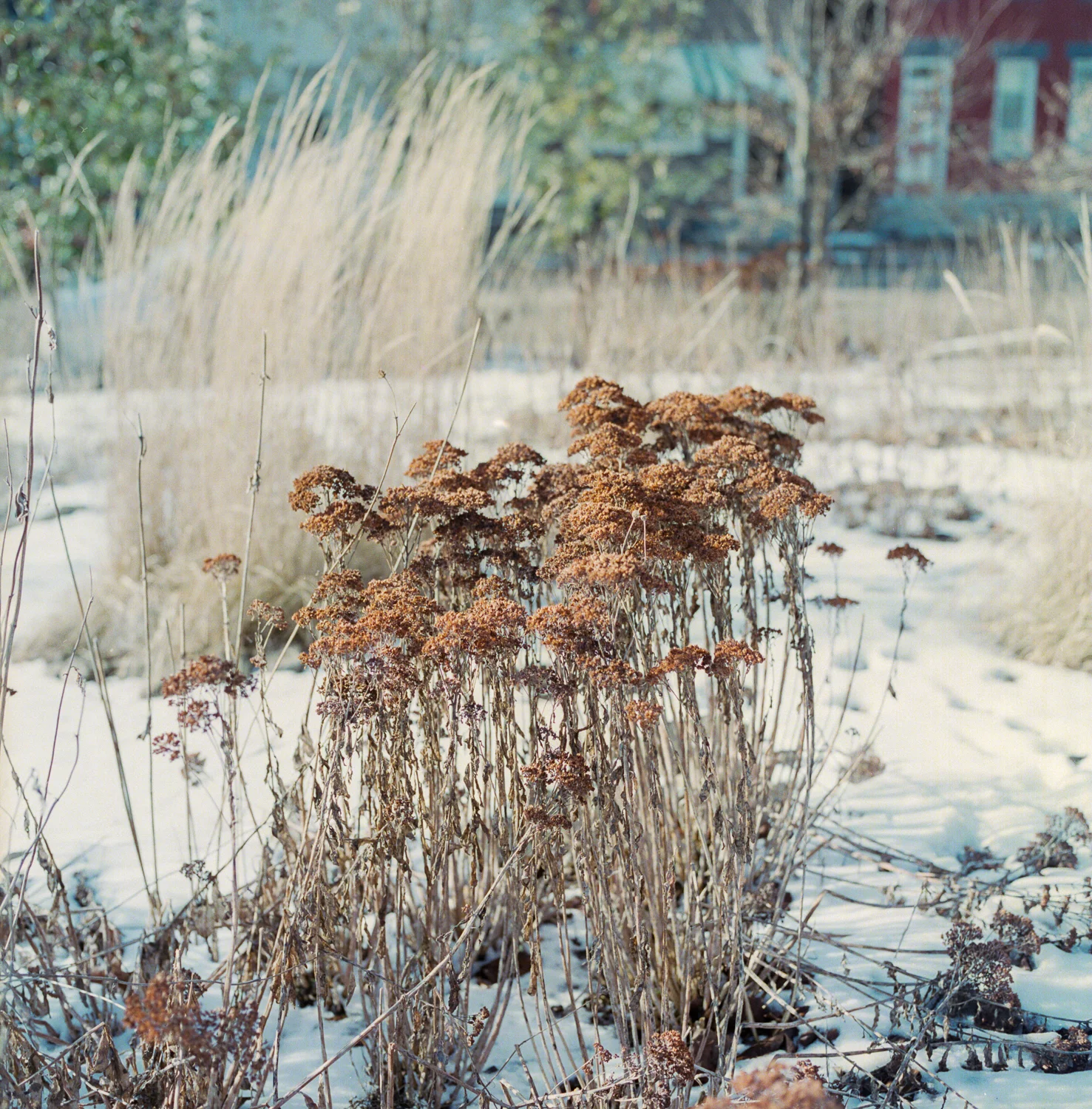 201901_A_01.jpg
