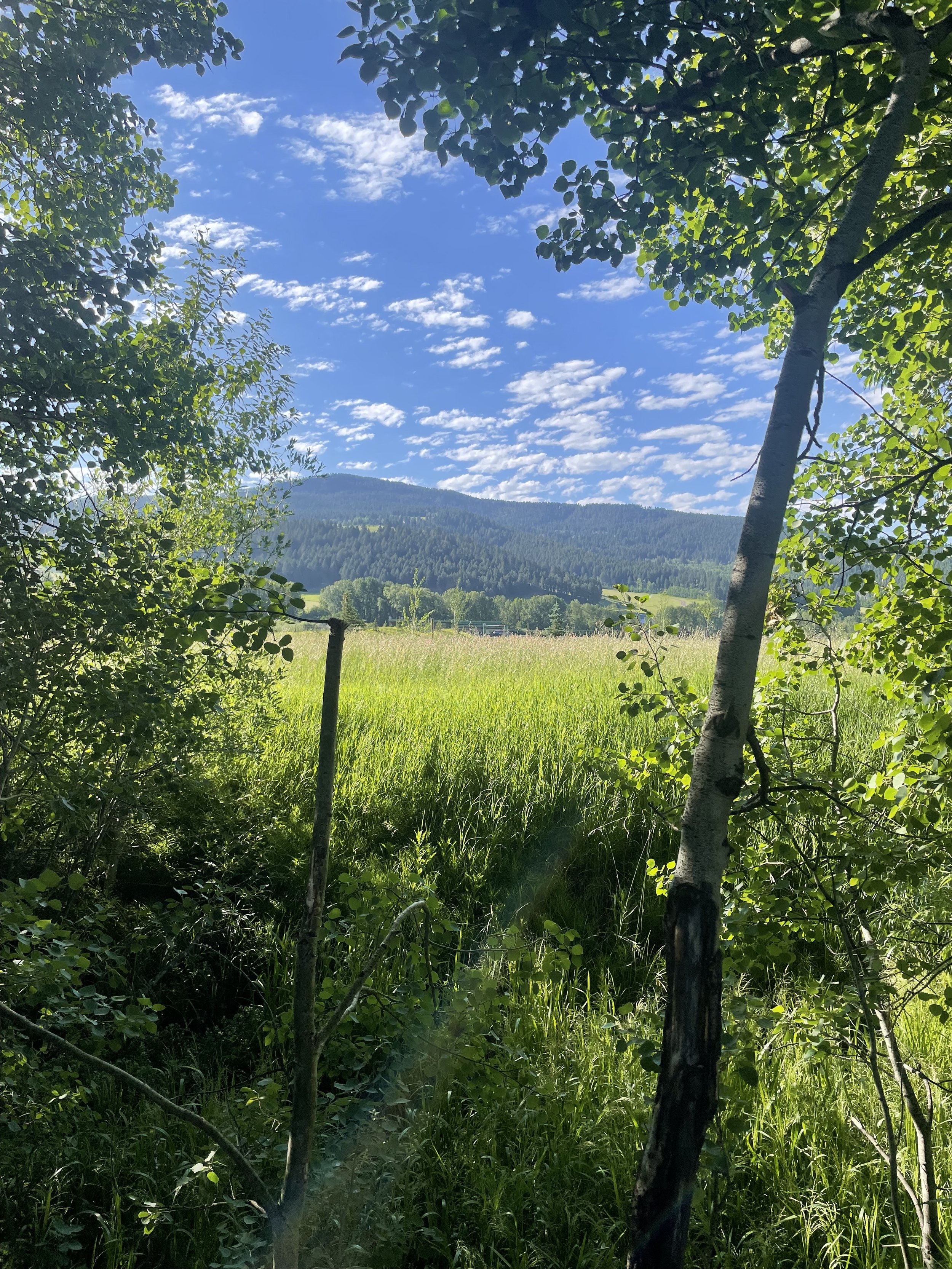 IMG_6221.jpeg