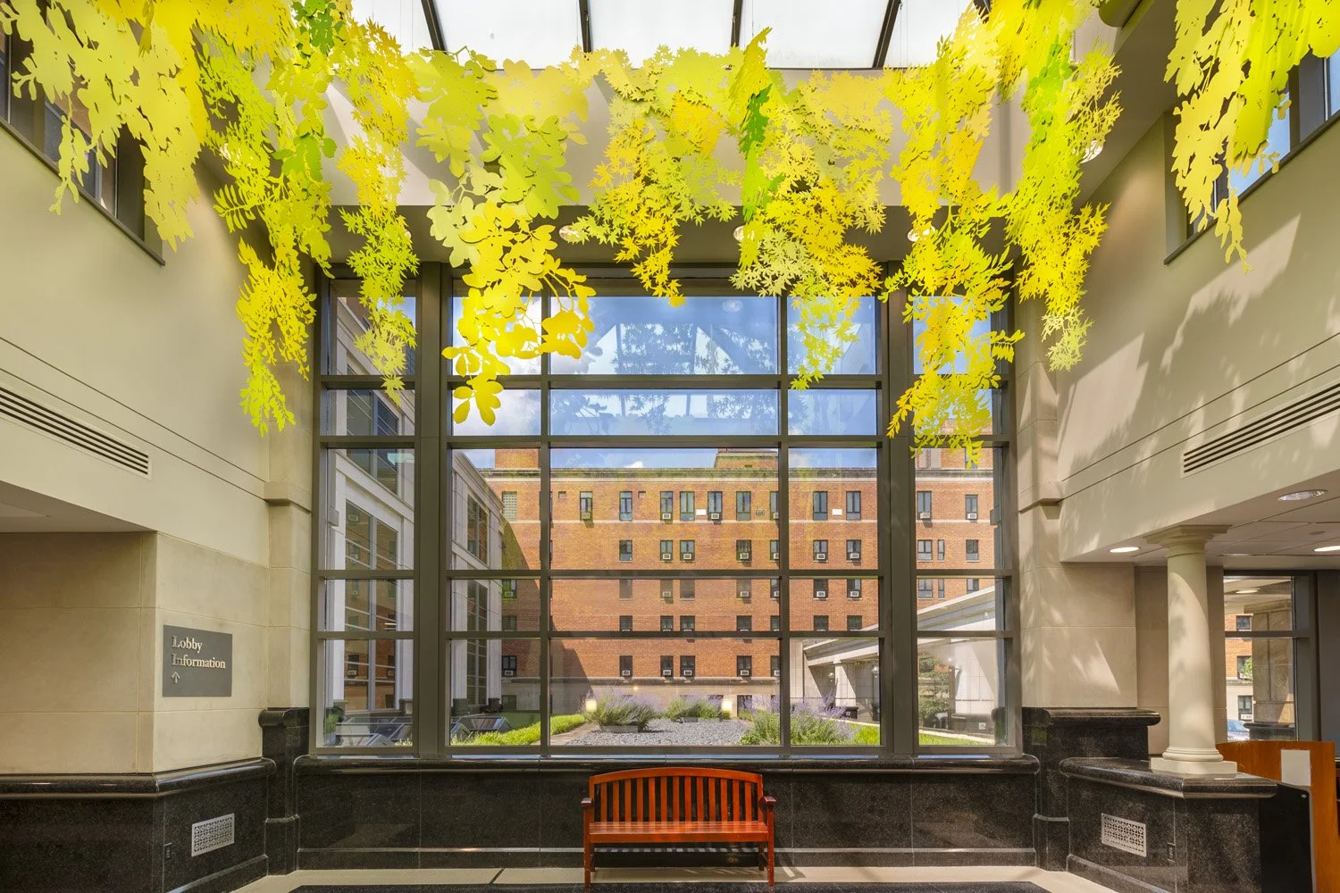 Mincemoyer_UPMC_20250624_113.jpg