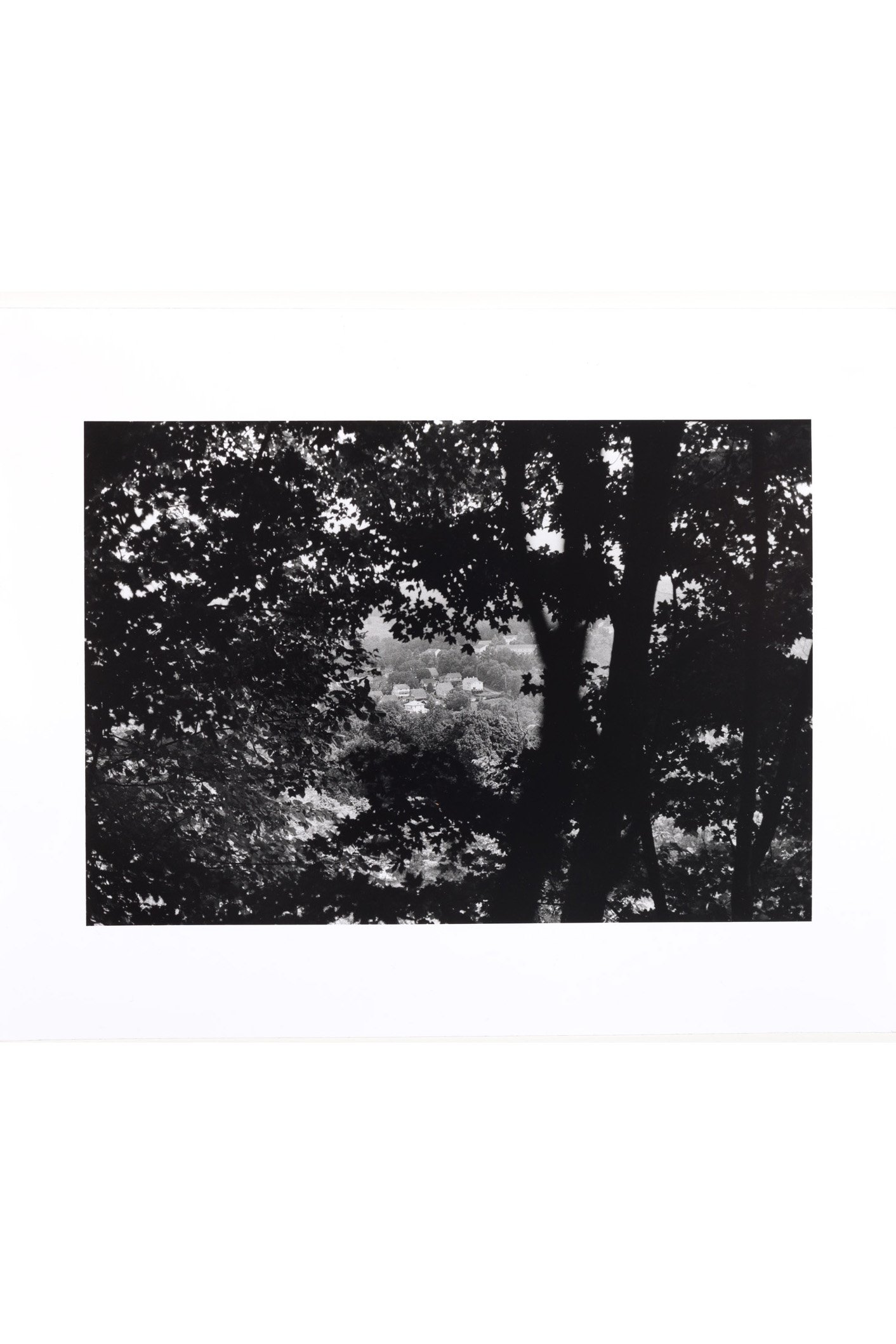 "Rural Ridge Through Trees" Print