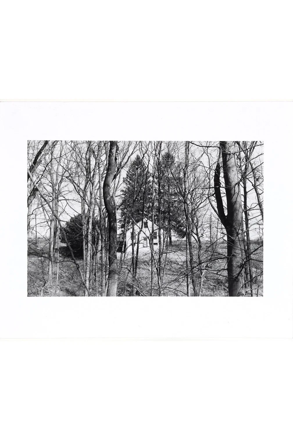 "House Through Trees" Print