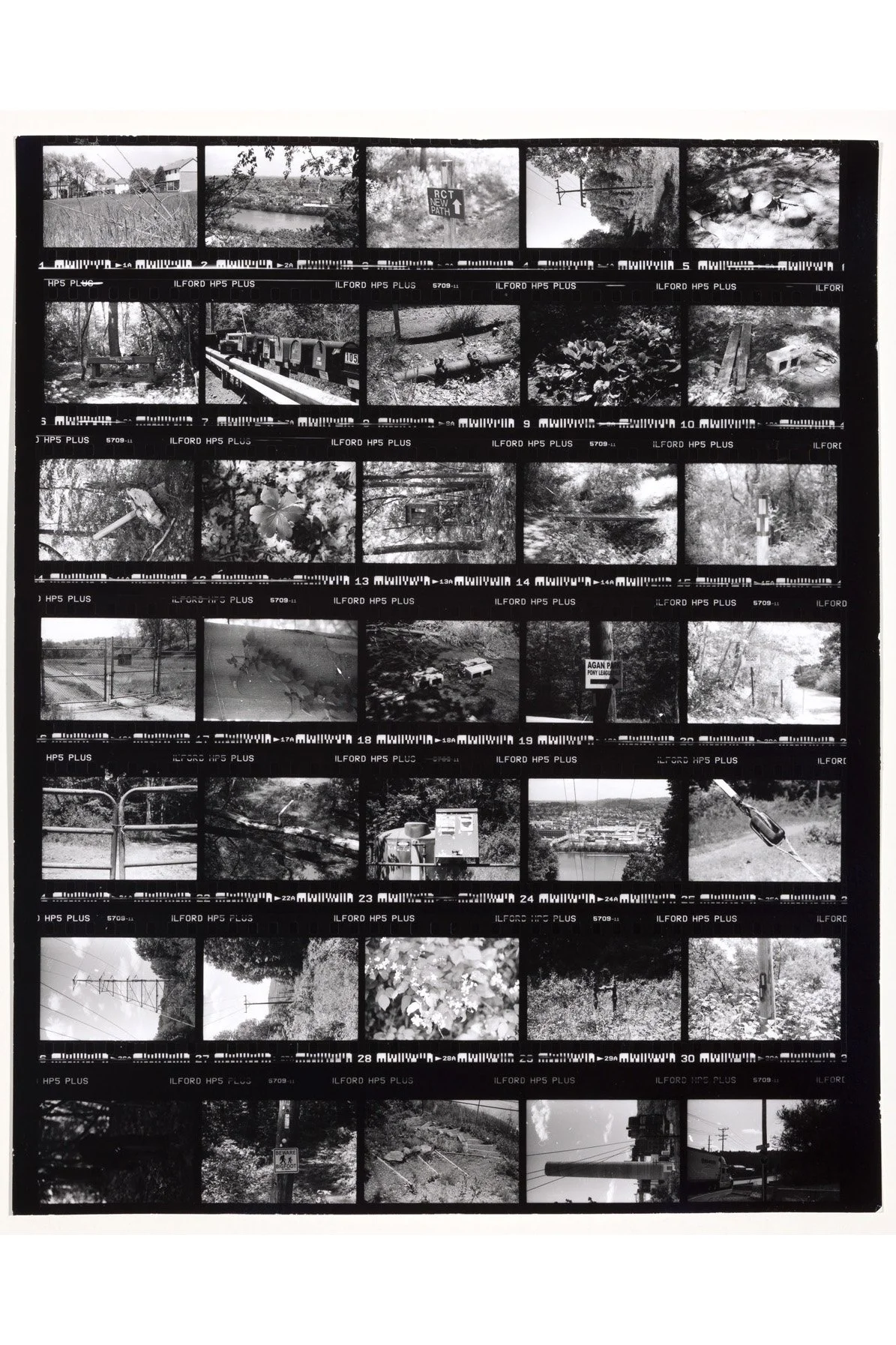 "Murray Hill to Riddle Run" Contact Print
