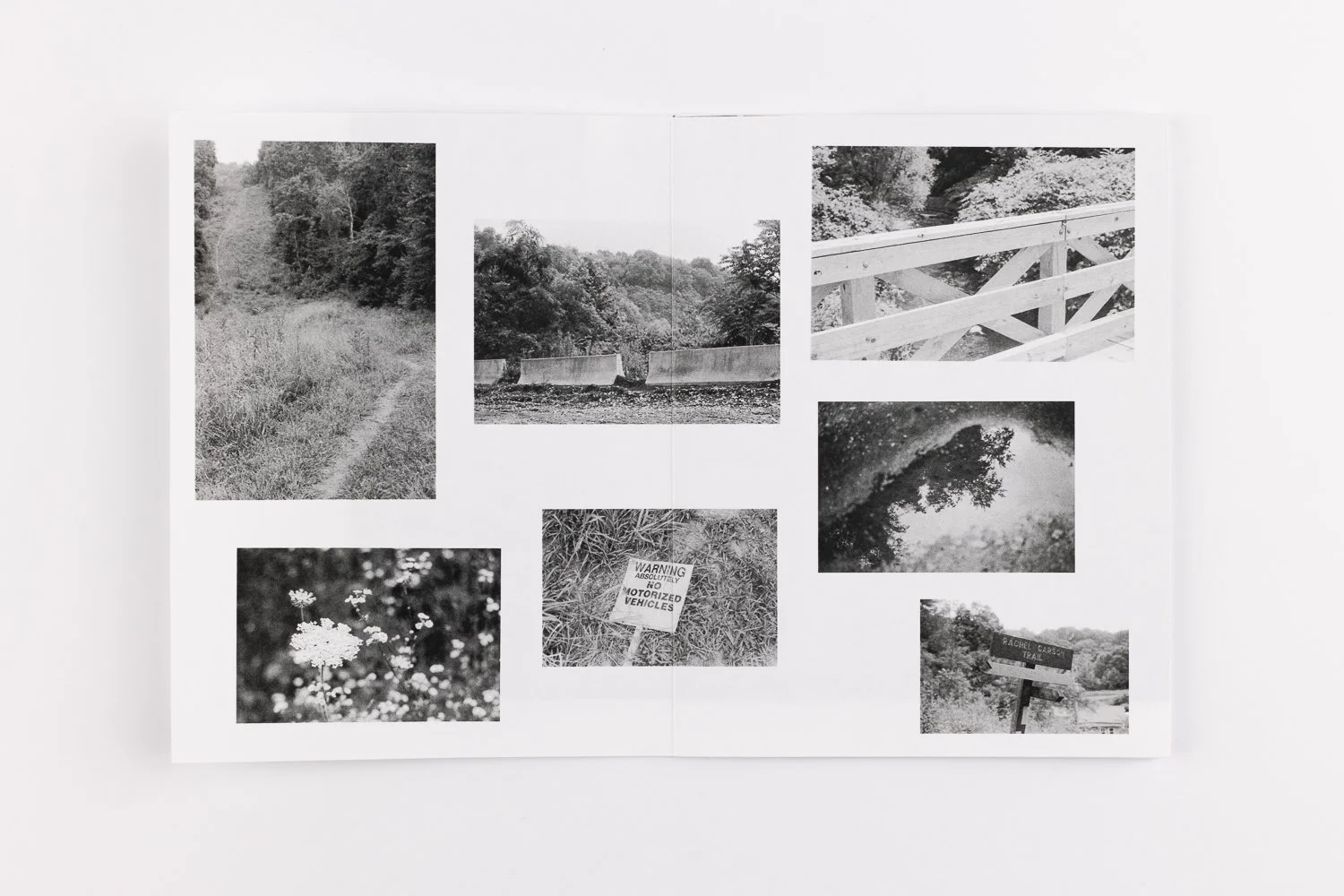 RCT_ASO_20251031_046.jpg (Copy)