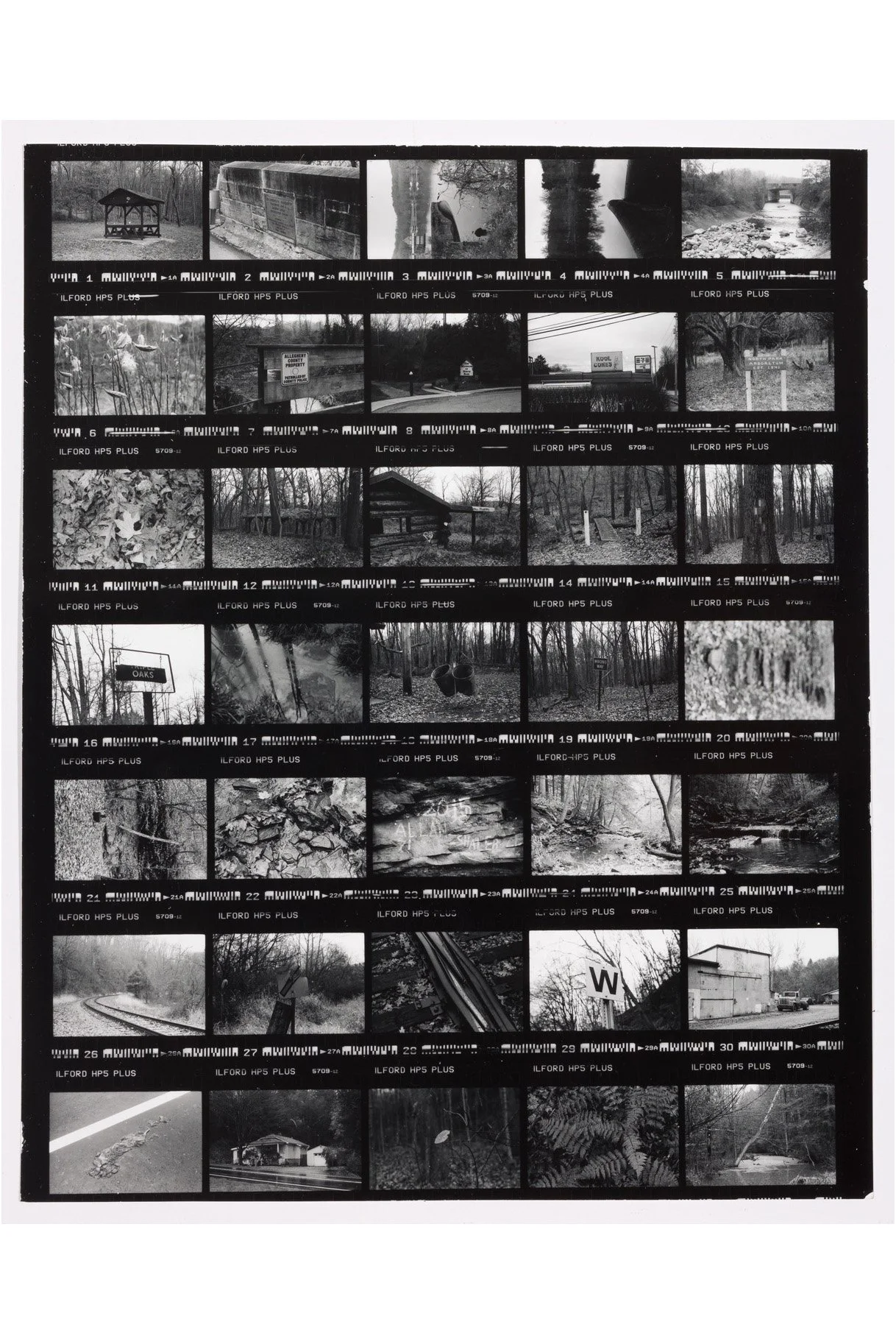 "North Park Lake to Crouse Run" Contact Print