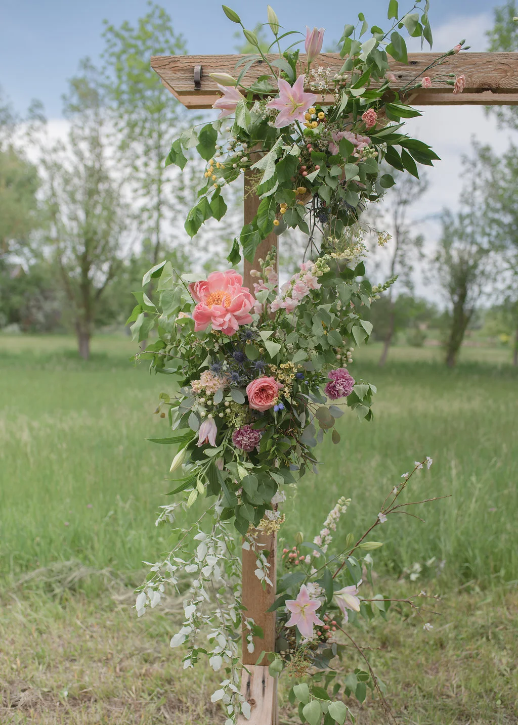  Beautiful flowers provided by Aflorae in Longmont Co 