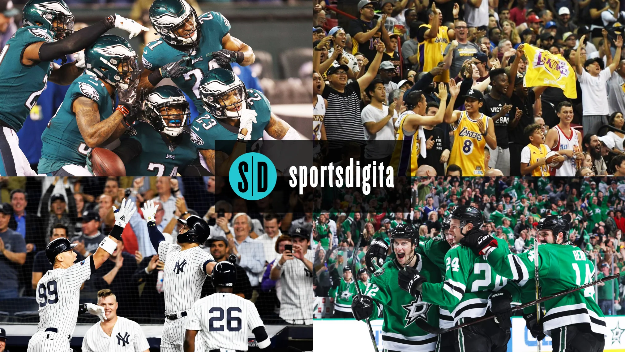 SportsDigita-Turnkey Search.jpg