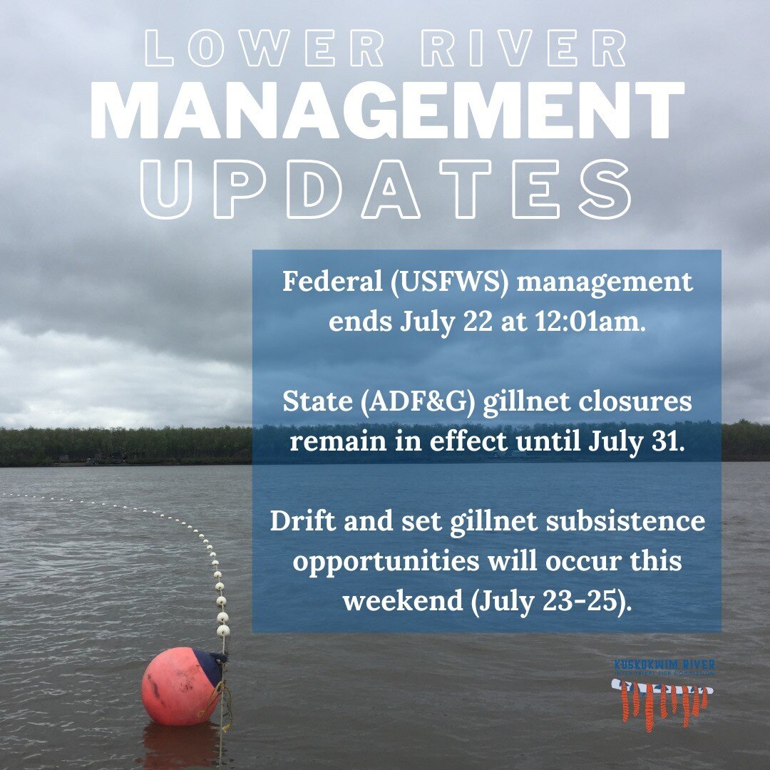 IMPORTANT FISHING MANAGEMENT UPDATE: Federal management and closures in the lower river are lifting tomorrow, but State closures remain in place until July 31 with fishing opportunities this weekend. 

The U.S. Fish and Wildlife Service Federal in-se