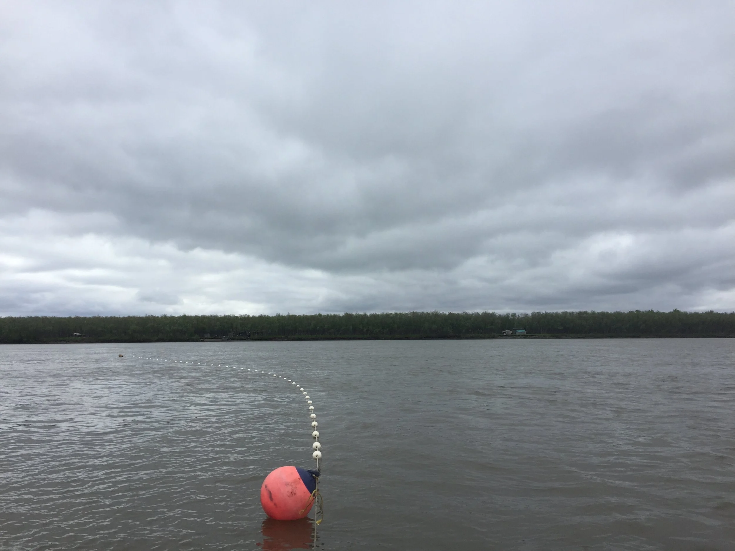 Transition from Federal to State Management