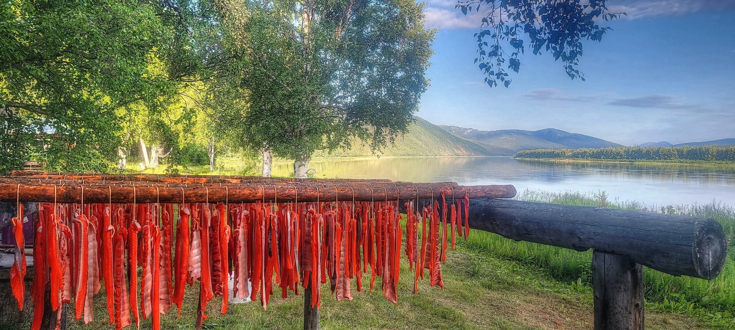 Preliminary 2021 Salmon Harvests, Escapements, & Run Reconstructions