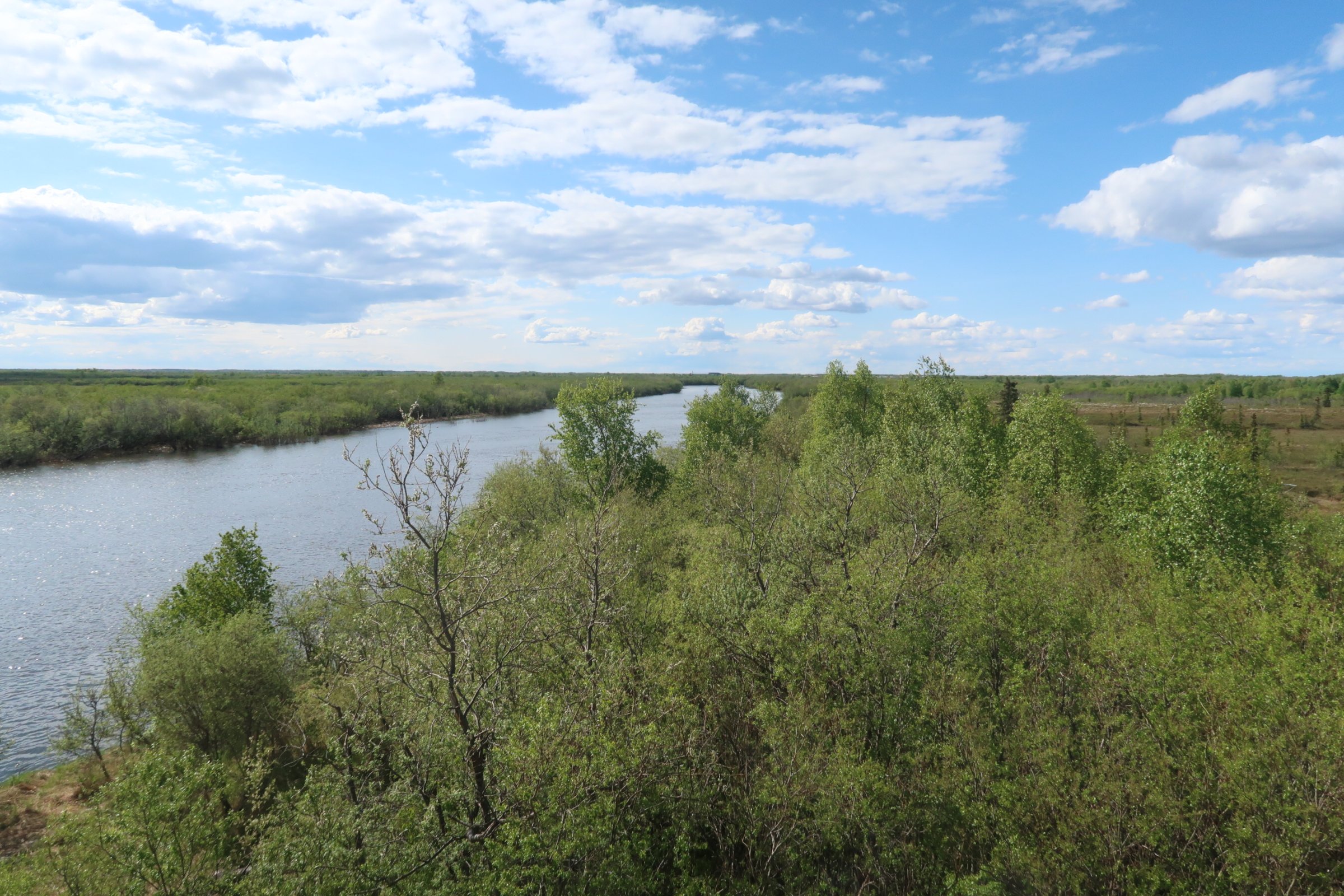 5.31.21 kwethluk river 2.JPG