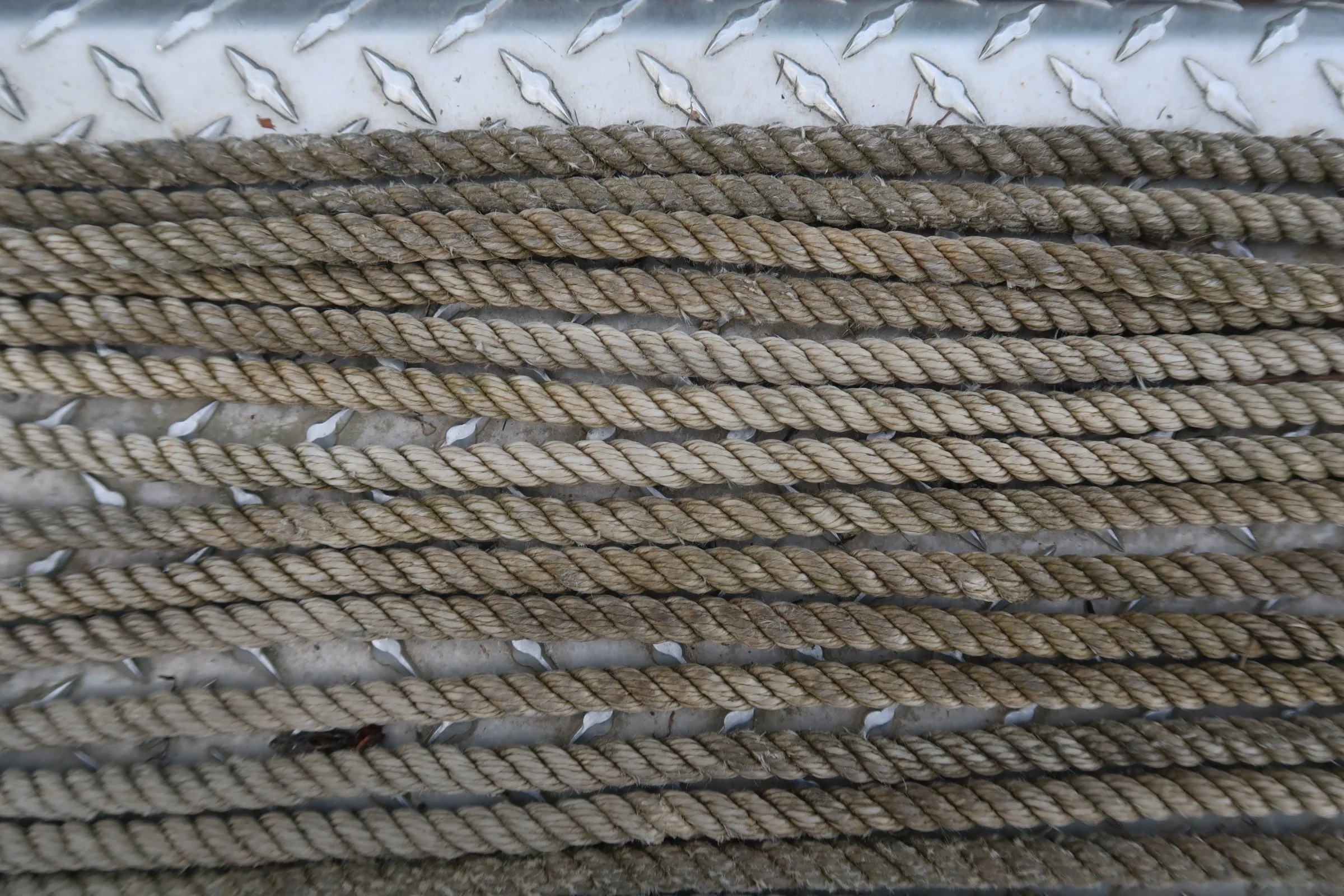 Speak Out Against Salmon Bycatch – NPFMC June 2022 Meeting