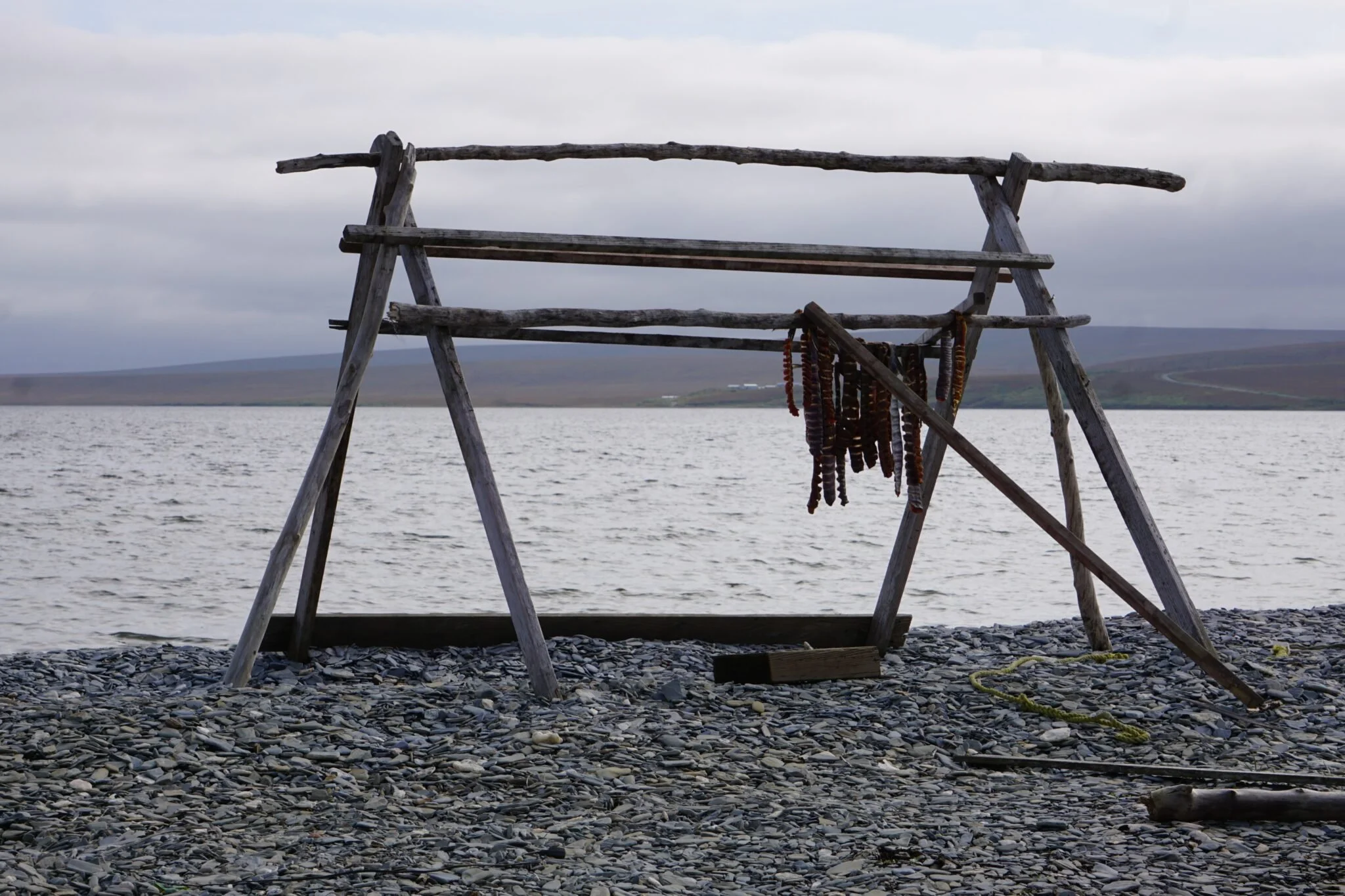 Fishery managers call for deeper look at salmon bycatch, but decline to tighten rules