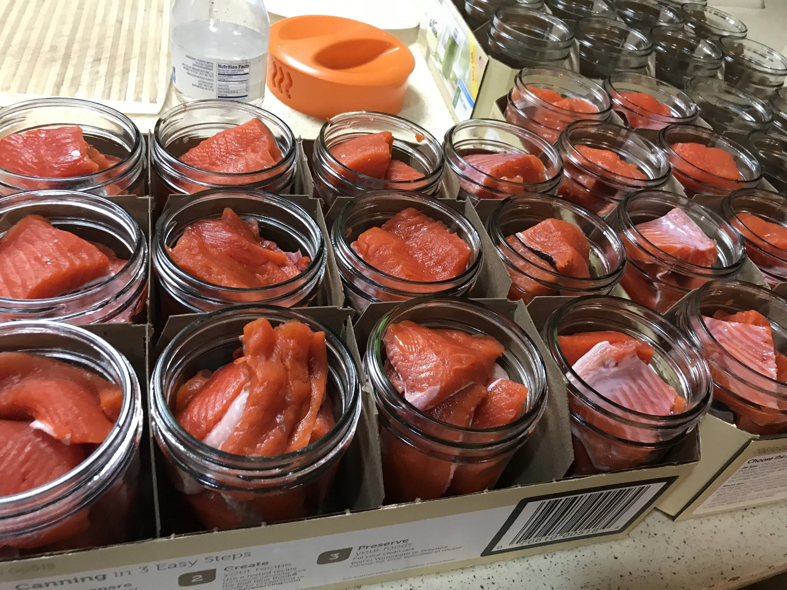 Yukon Delta NWR Letter to FSB on Kuskokwim Coho Salmon Situation