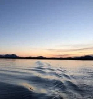 Nominations Open for Salmon Bycatch Committee