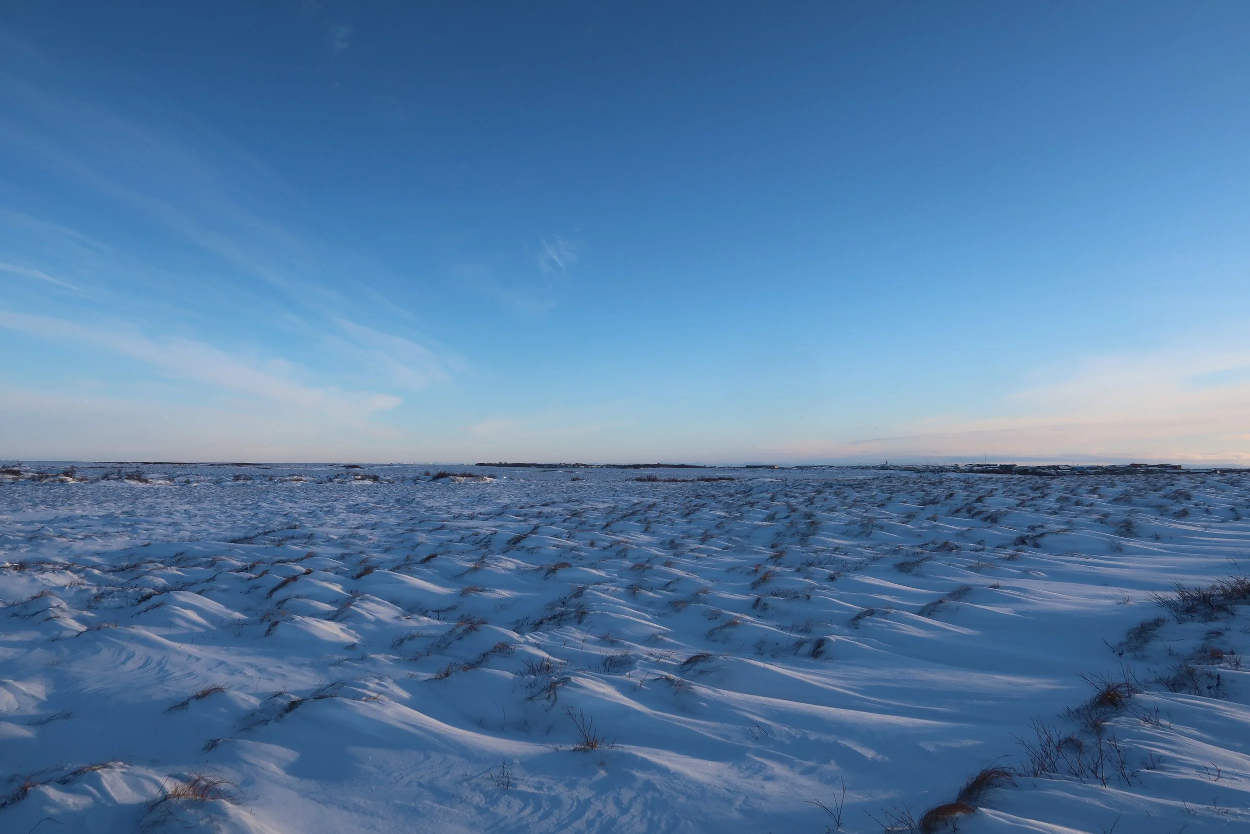 Kuskokwim River 2022 Post-Season Summary