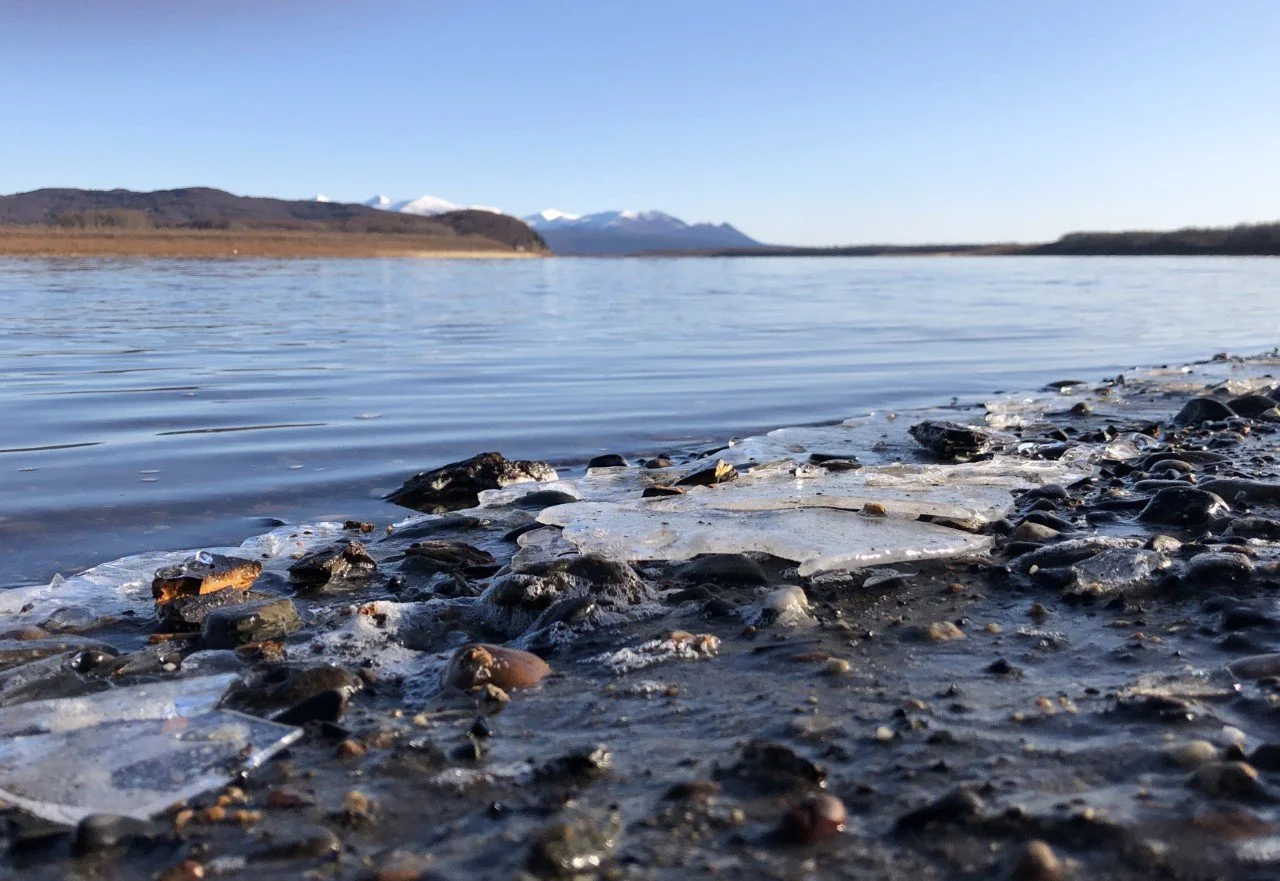 NPFMC to Discuss Salmon Bycatch in December 2022