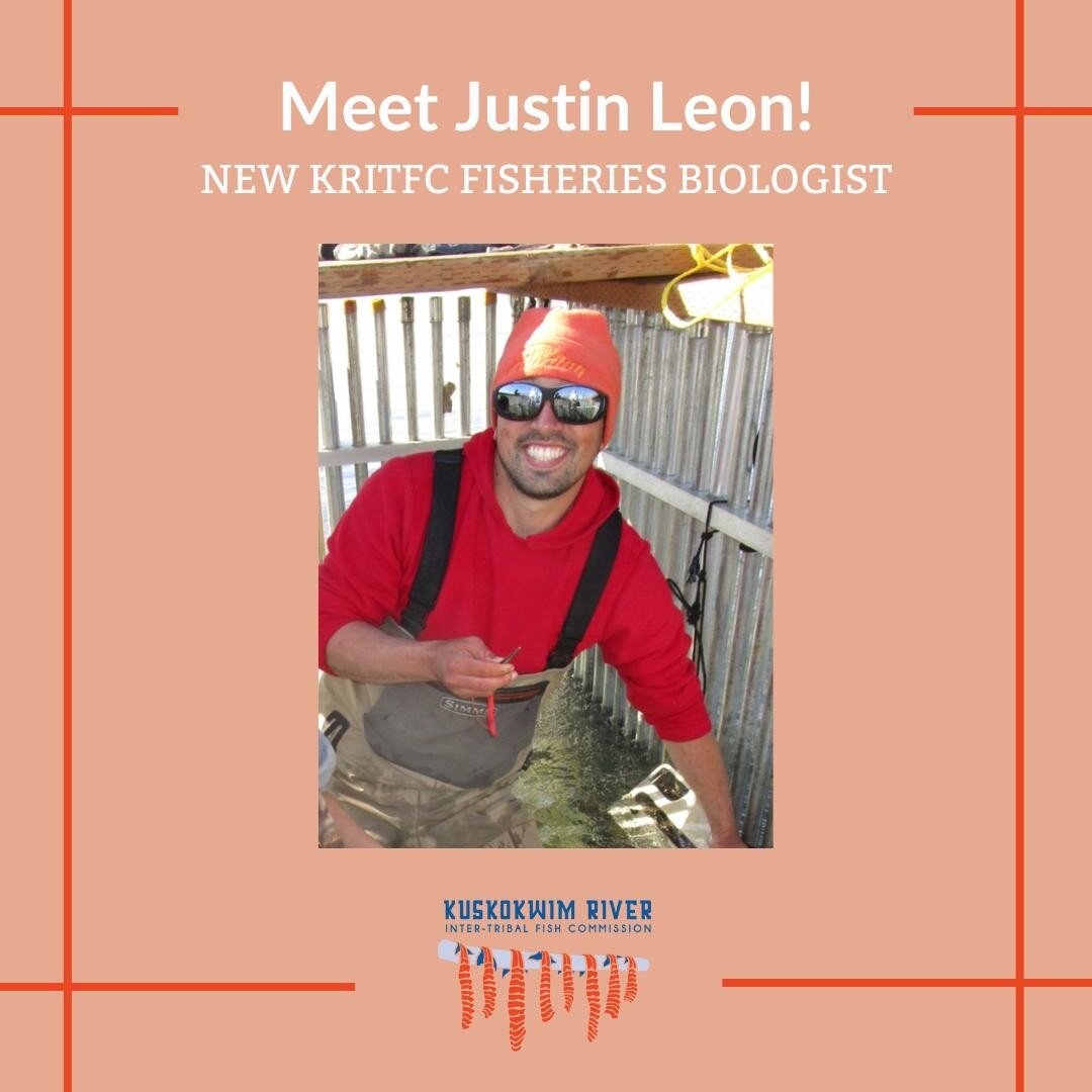 We are thrilled to introduce our newest team member: Justin Leon!

Justin joined our team this week as our new Fisheries Biologist. Born and raised in Georgia, he moved to Alaska after graduating and has lived and worked throughout the state as a fis