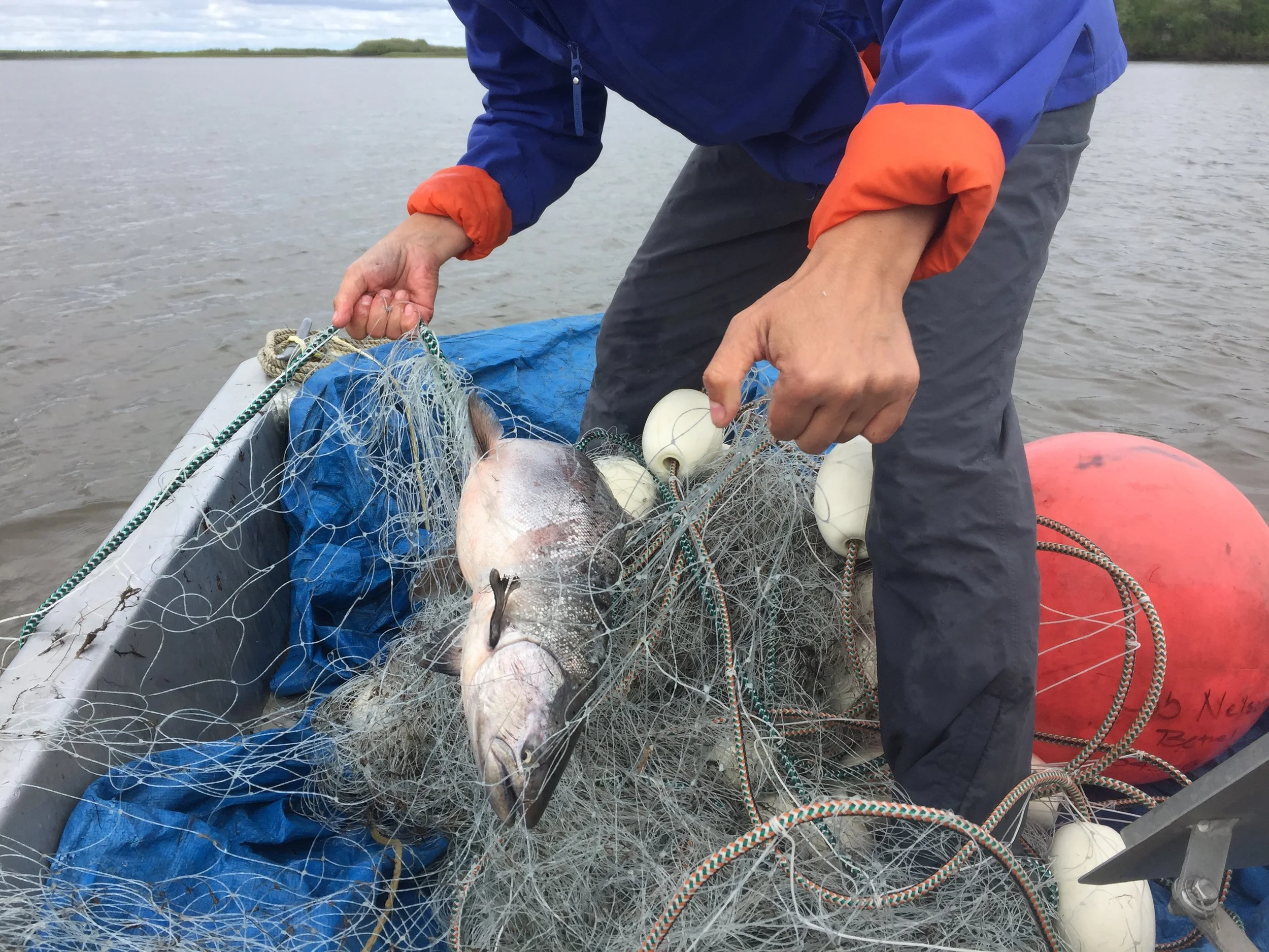 6.12.21 opener 5.JPG