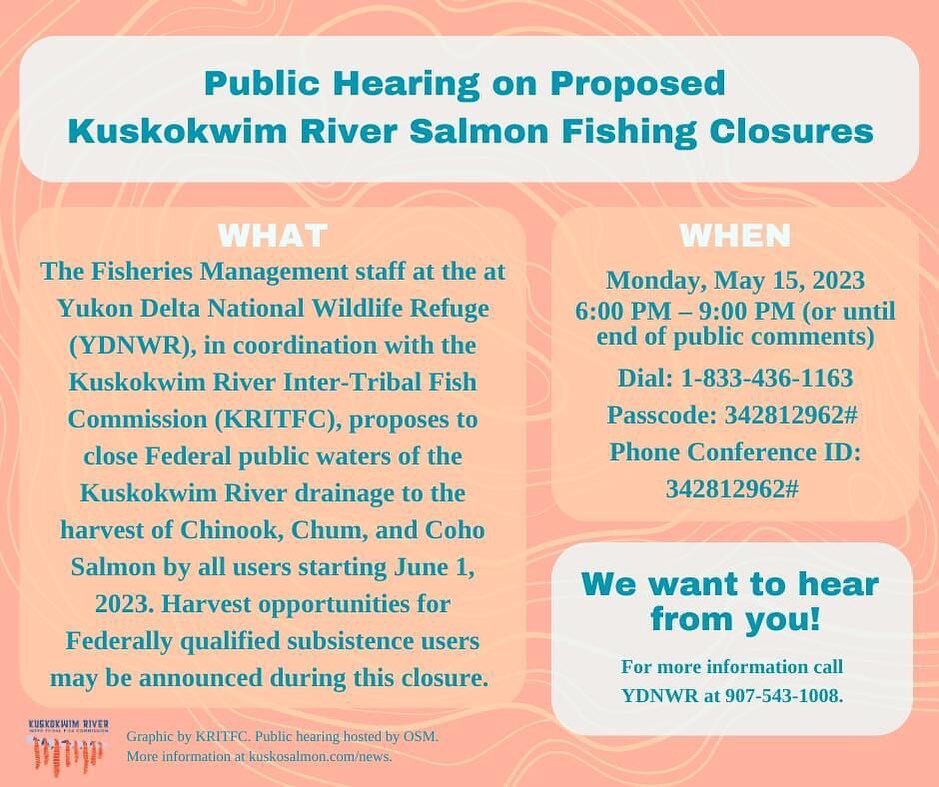 REMINDER: PUBLIC HEARING ON MAY 15, 2023 REGARDING SALMON FISHING CLOSURE FSA-YD-23-01 ON KUSKOKWIM RIVER STARTING JUNE 1, 2023 

The Fisheries Management staff at the at Yukon Delta National Wildlife Refuge (YDNWR), in coordination with the Kuskokwi