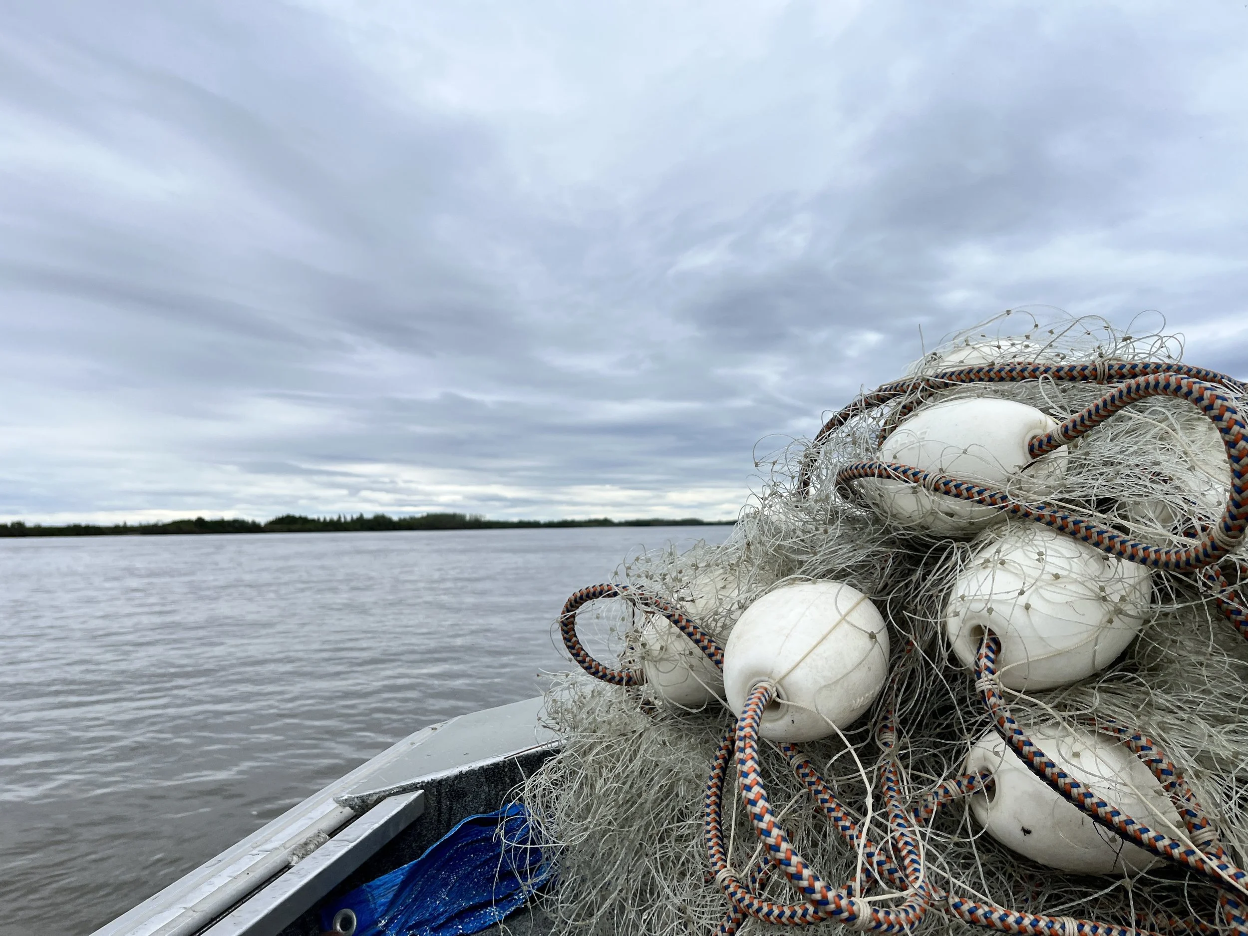 Kuskokwim River Mainstem Fishing Opportunities