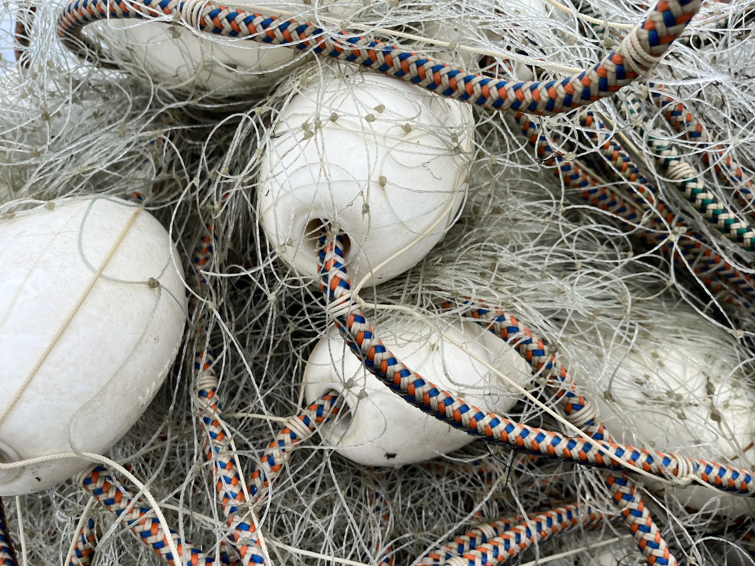 ADFG Kuskokwim Bay Fishery Announcement #2 