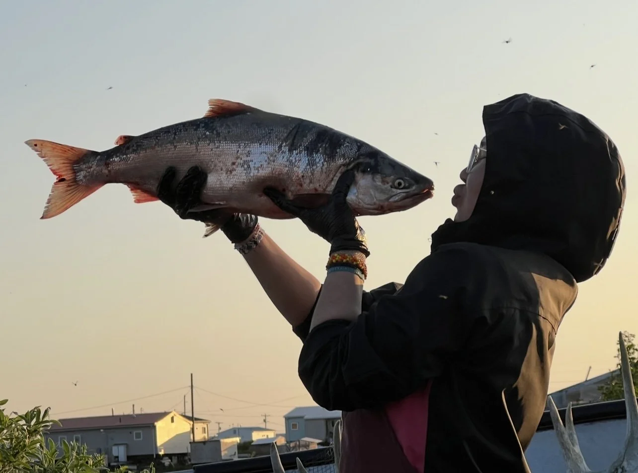 KRITFC Seeks a Youth Advisor