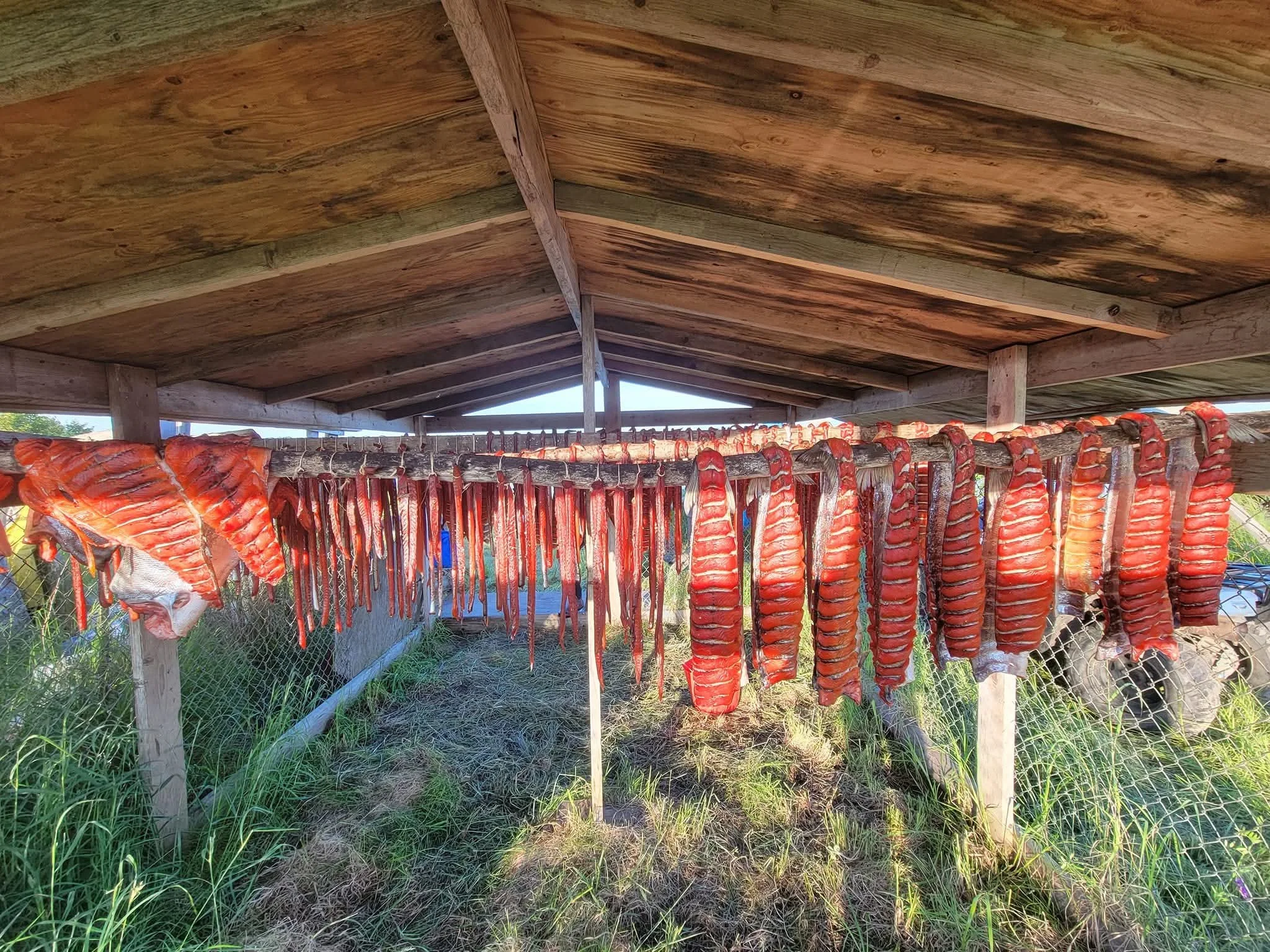 Public Hearing Announcement on 2026 Kuskokwim River Salmon Management