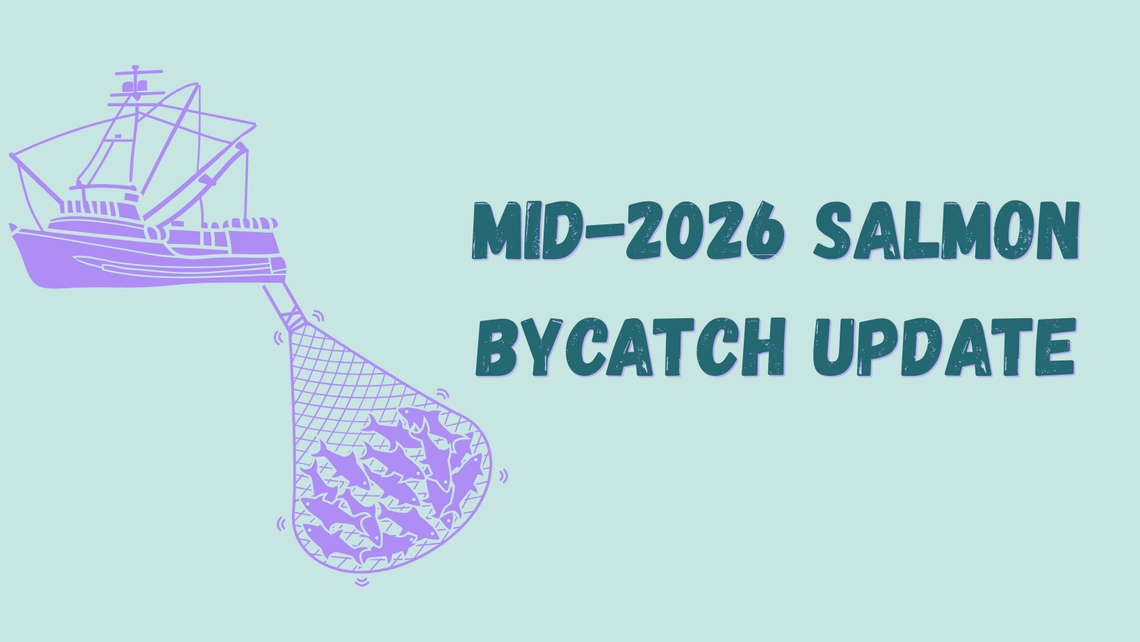 Mid-2026 Bycatch Update