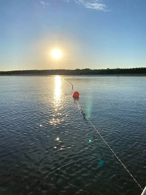 Notice to Rescind Partial Federal Salmon Fishing Restrictions